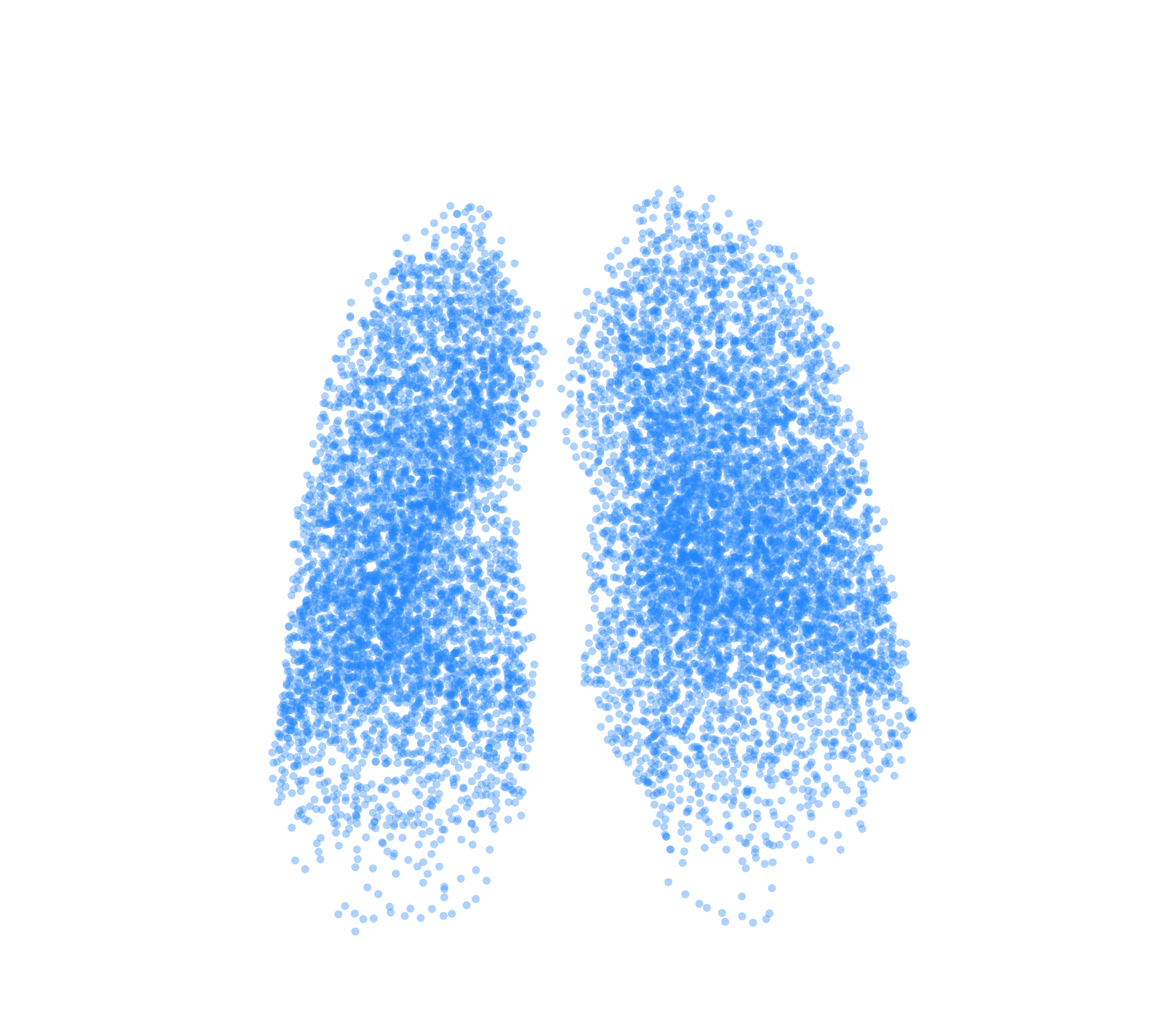 Point Cloud (Inspiration) - Front View