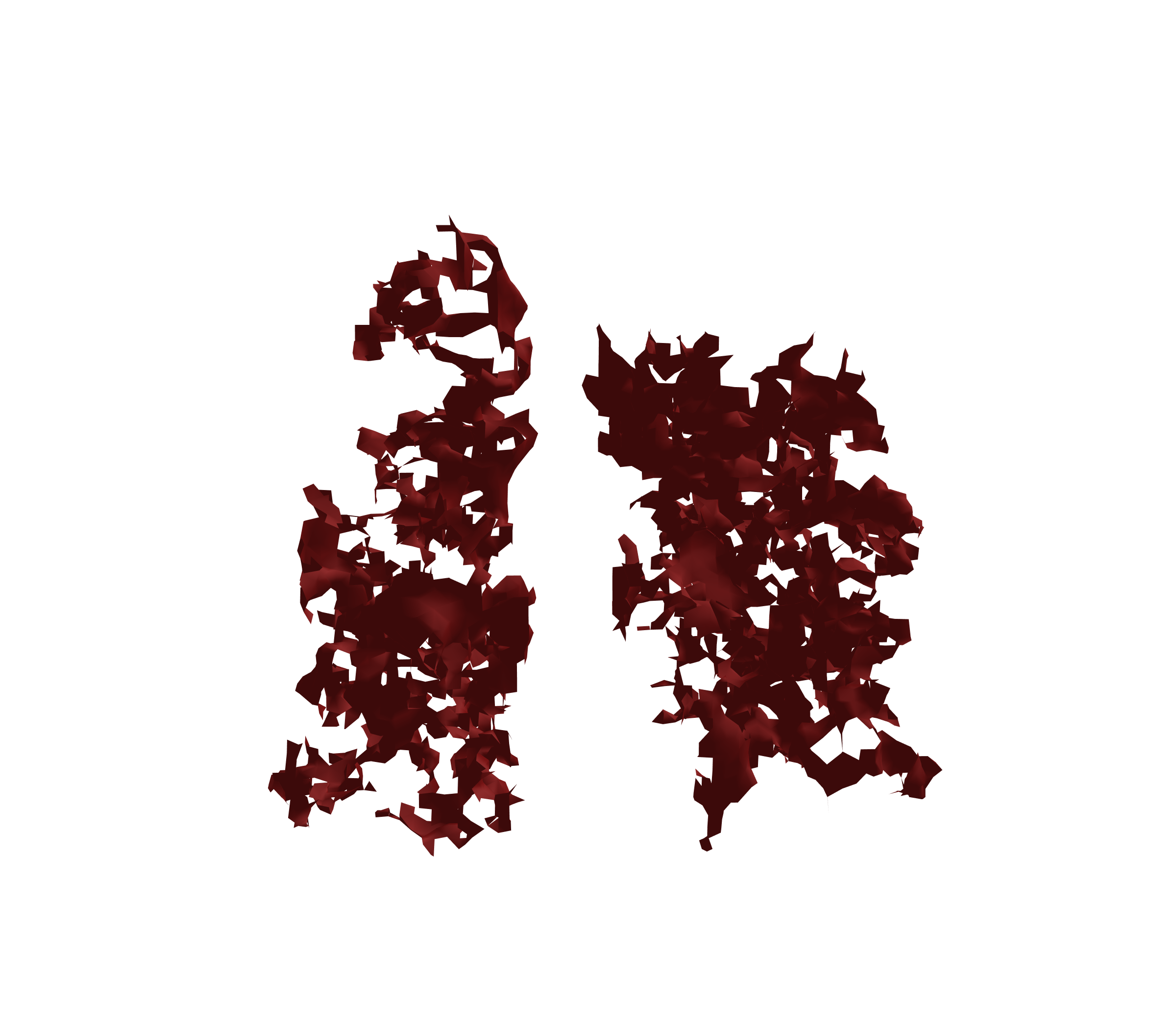 Surface Mesh (Expiration) - Front View