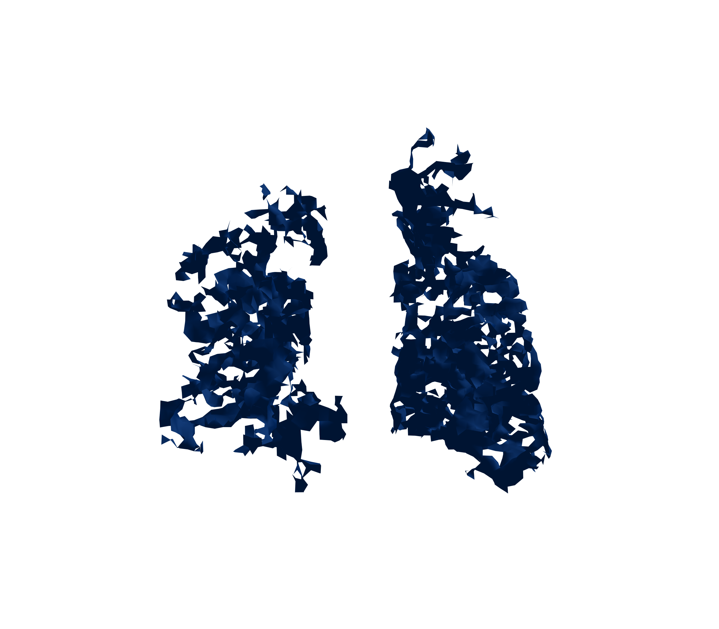 Surface Mesh (Inspiration) - Back View