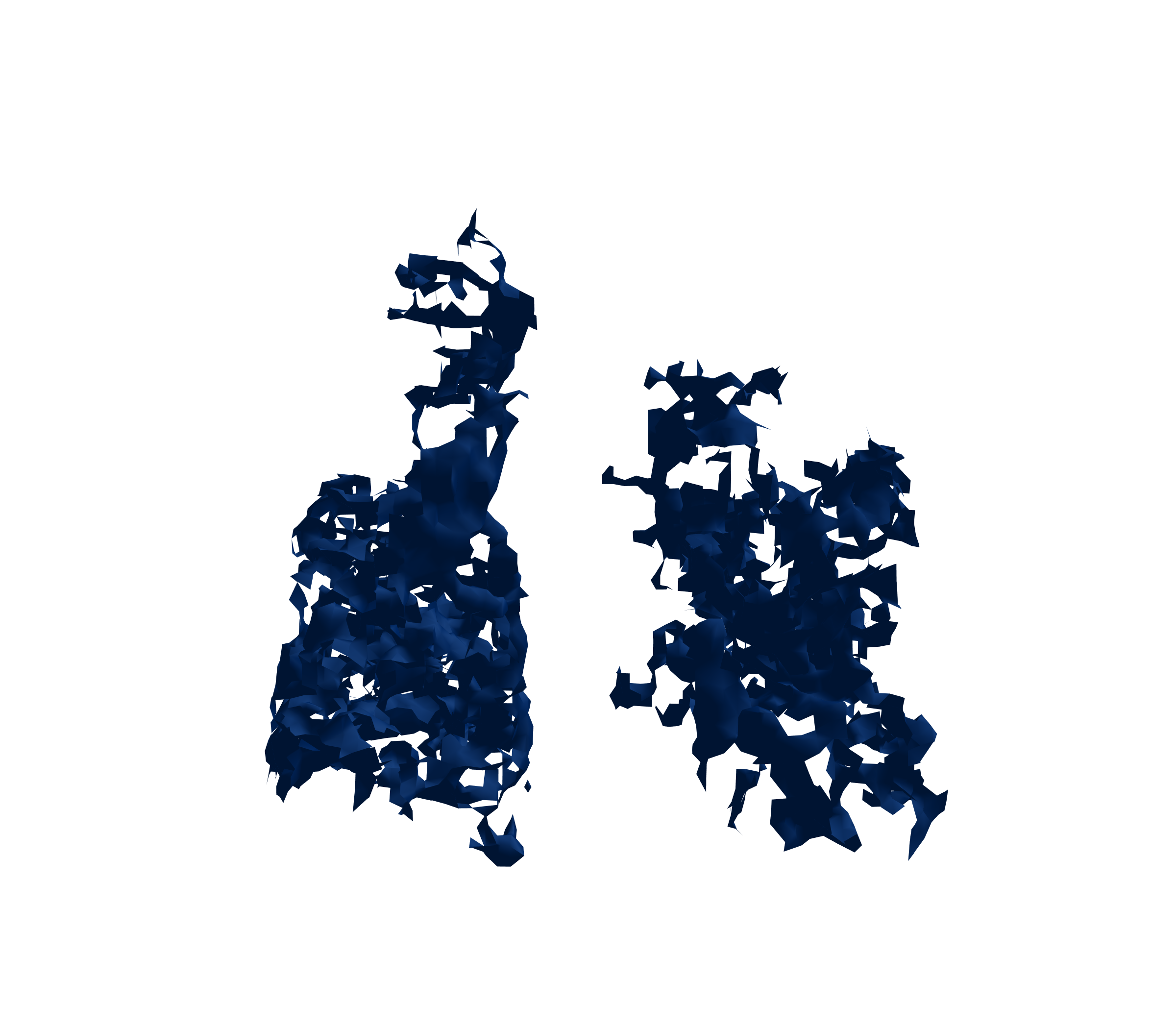 Surface Mesh (Inspiration) - Front View