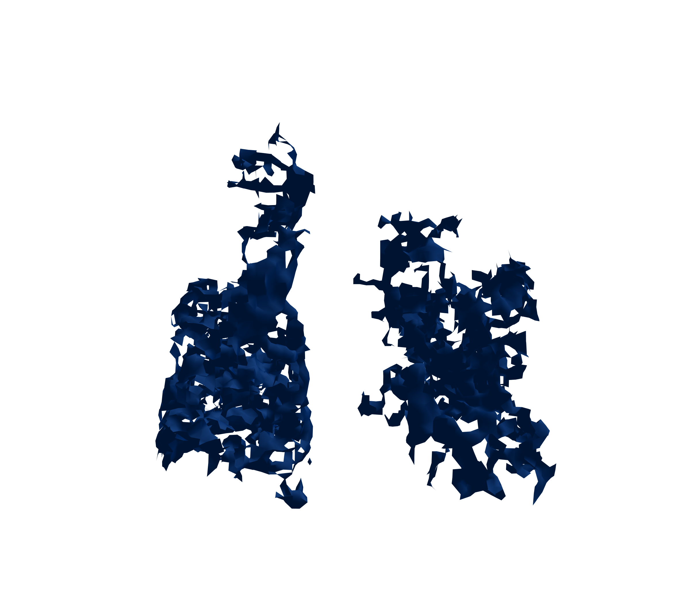 Surface Mesh (Inspiration) - Front View