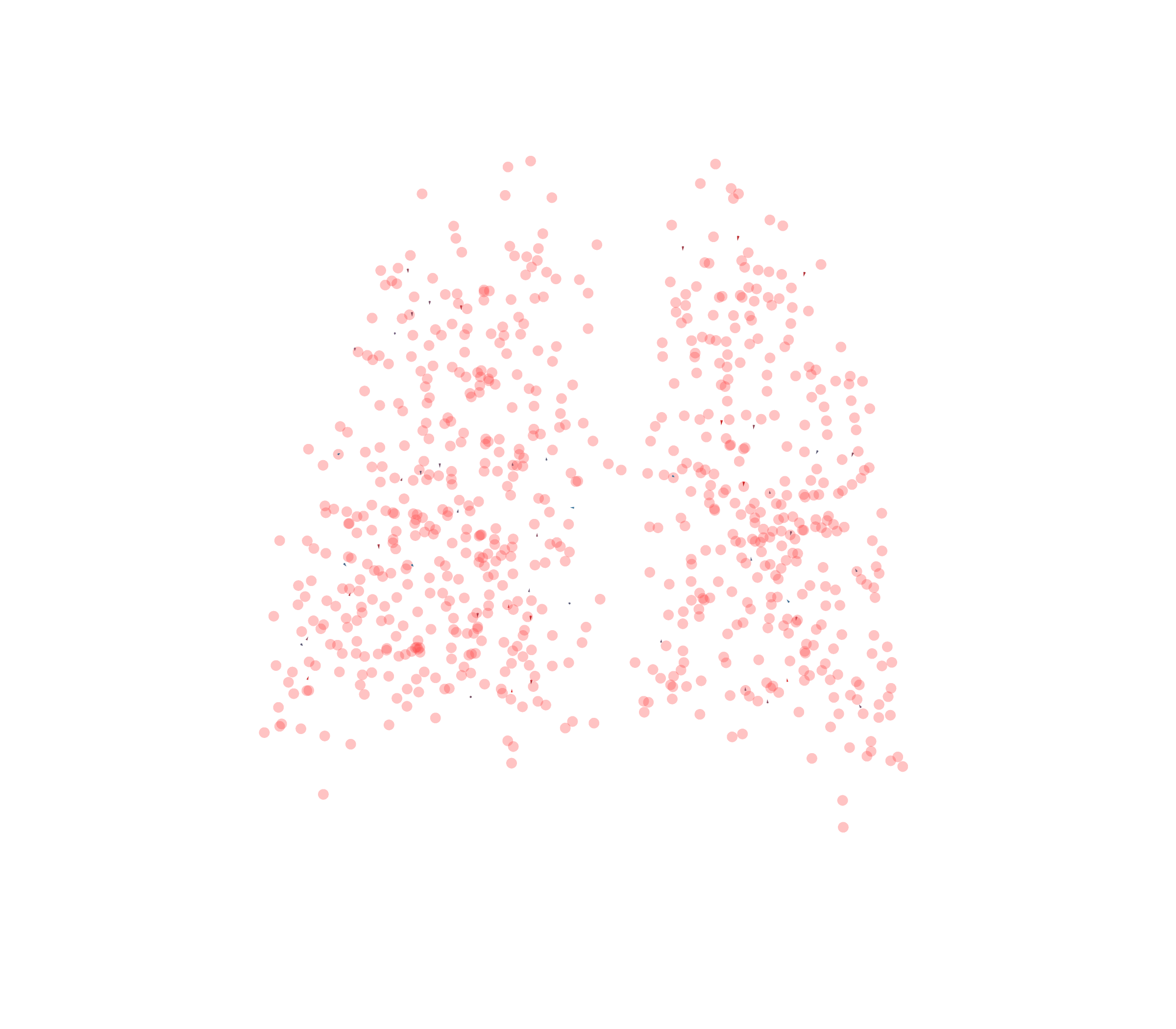 Displacement Vectors - Back View