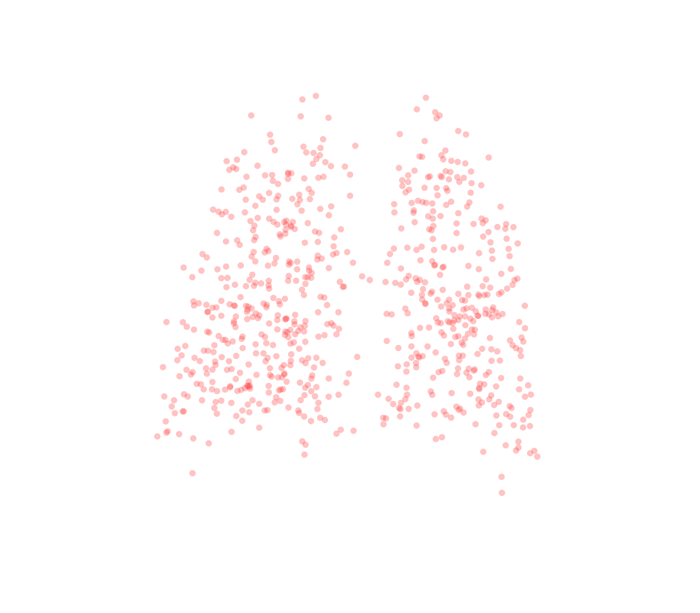 Displacement Vectors (Expiration) - Back View