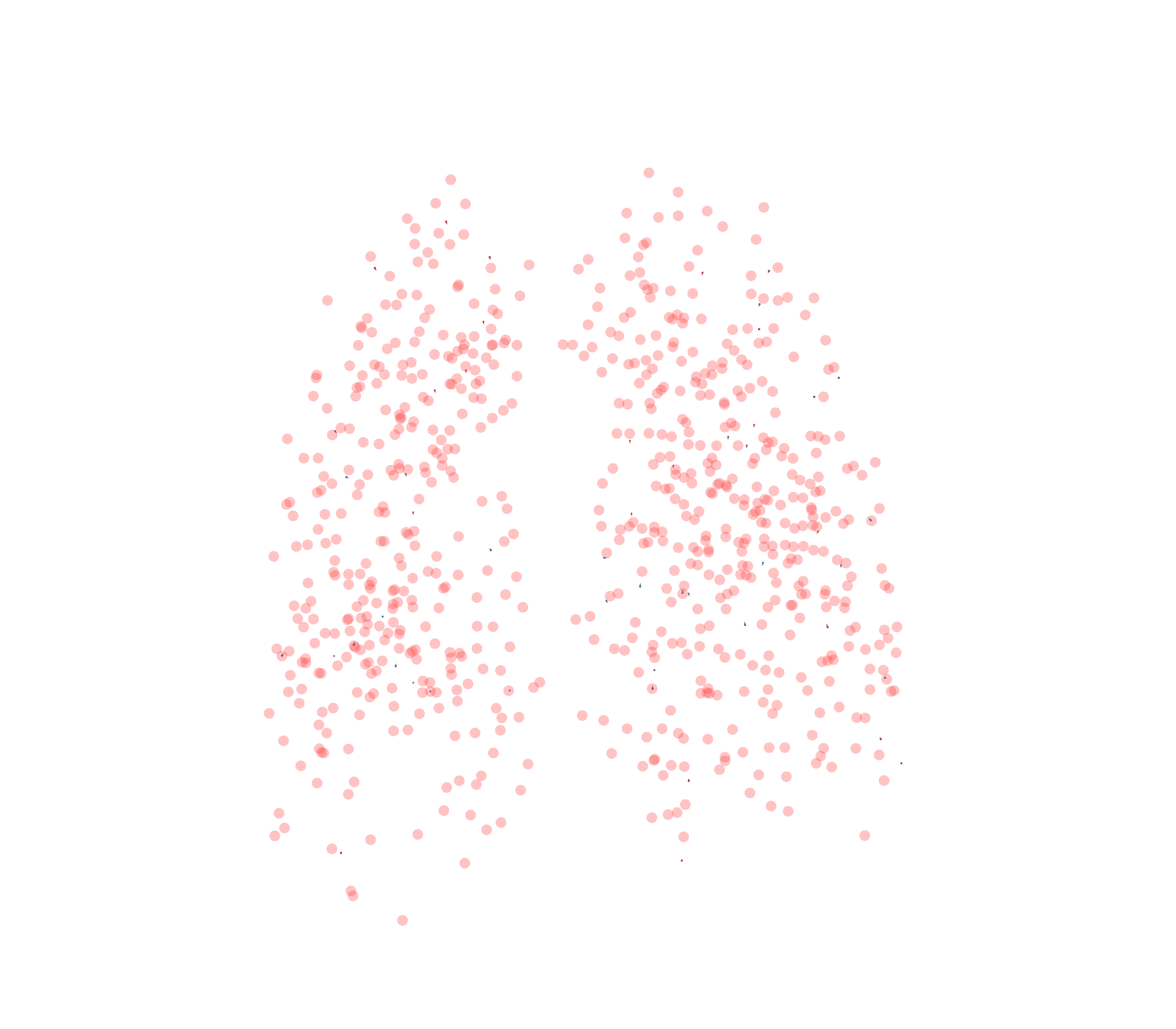 Displacement Vectors - Front View
