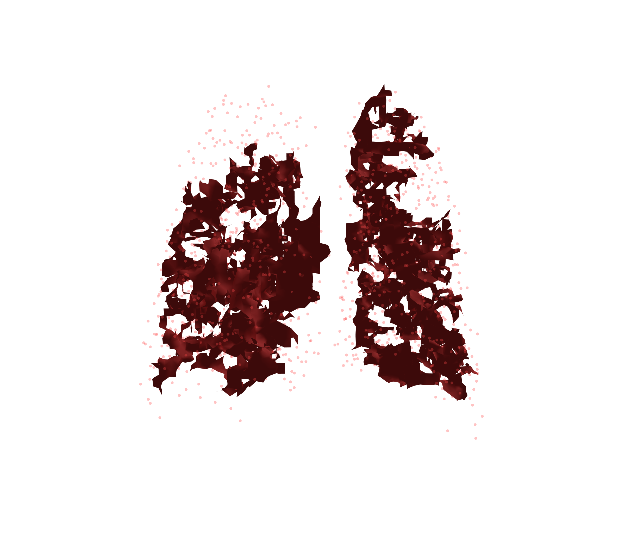 Combined Visualization (Expiration) - Back View