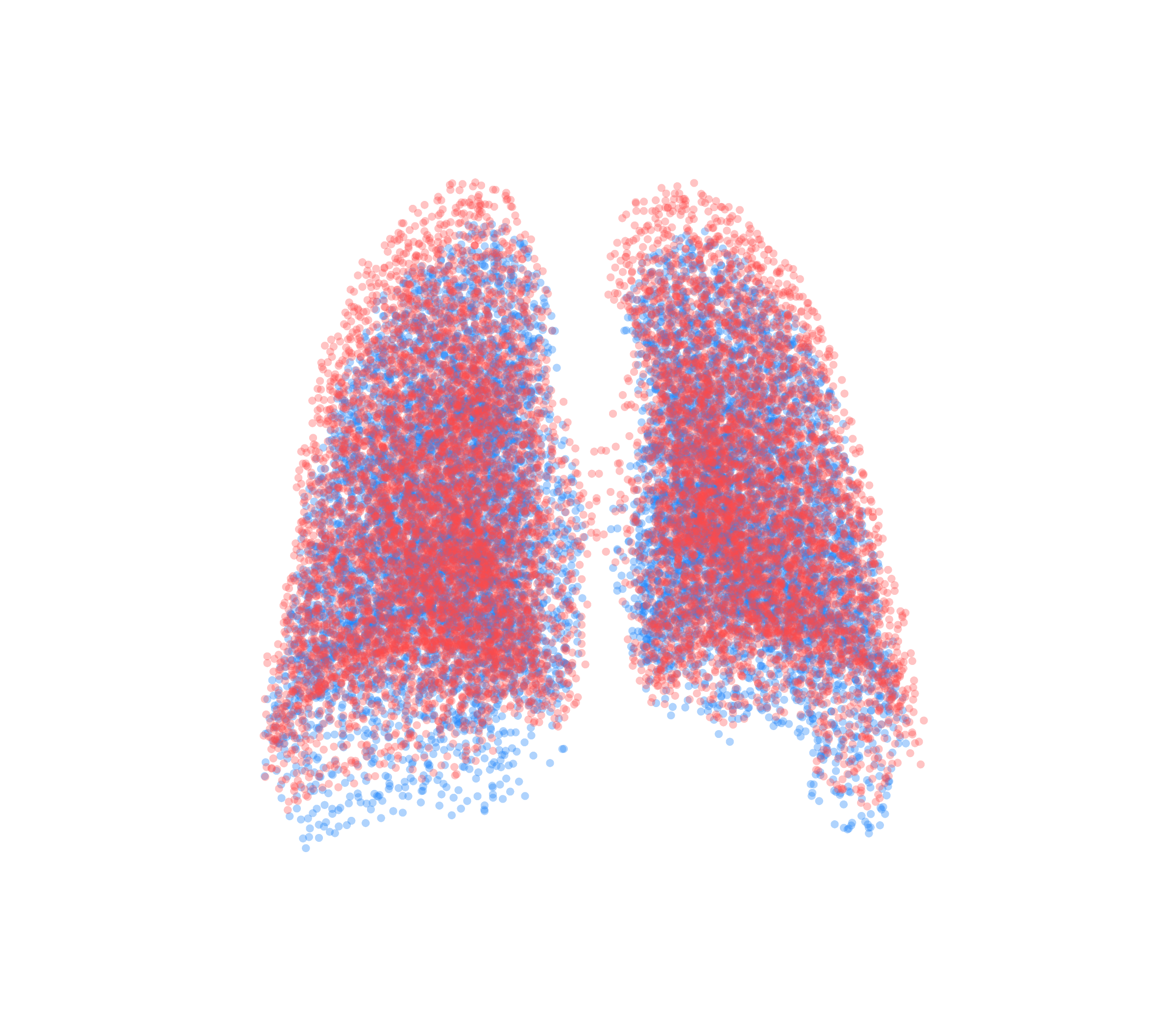 Point Cloud - Back View