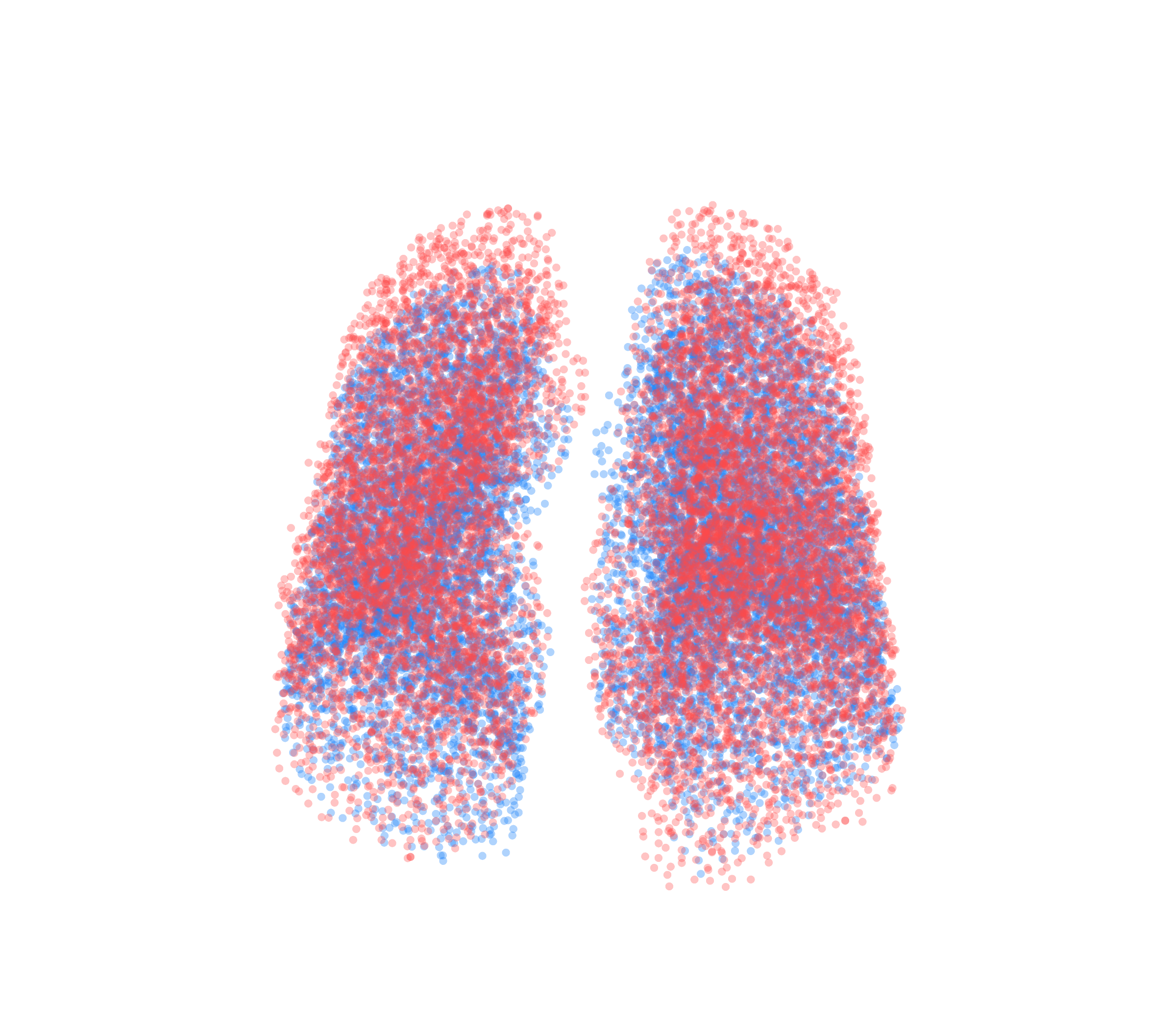 Point Cloud - Front View