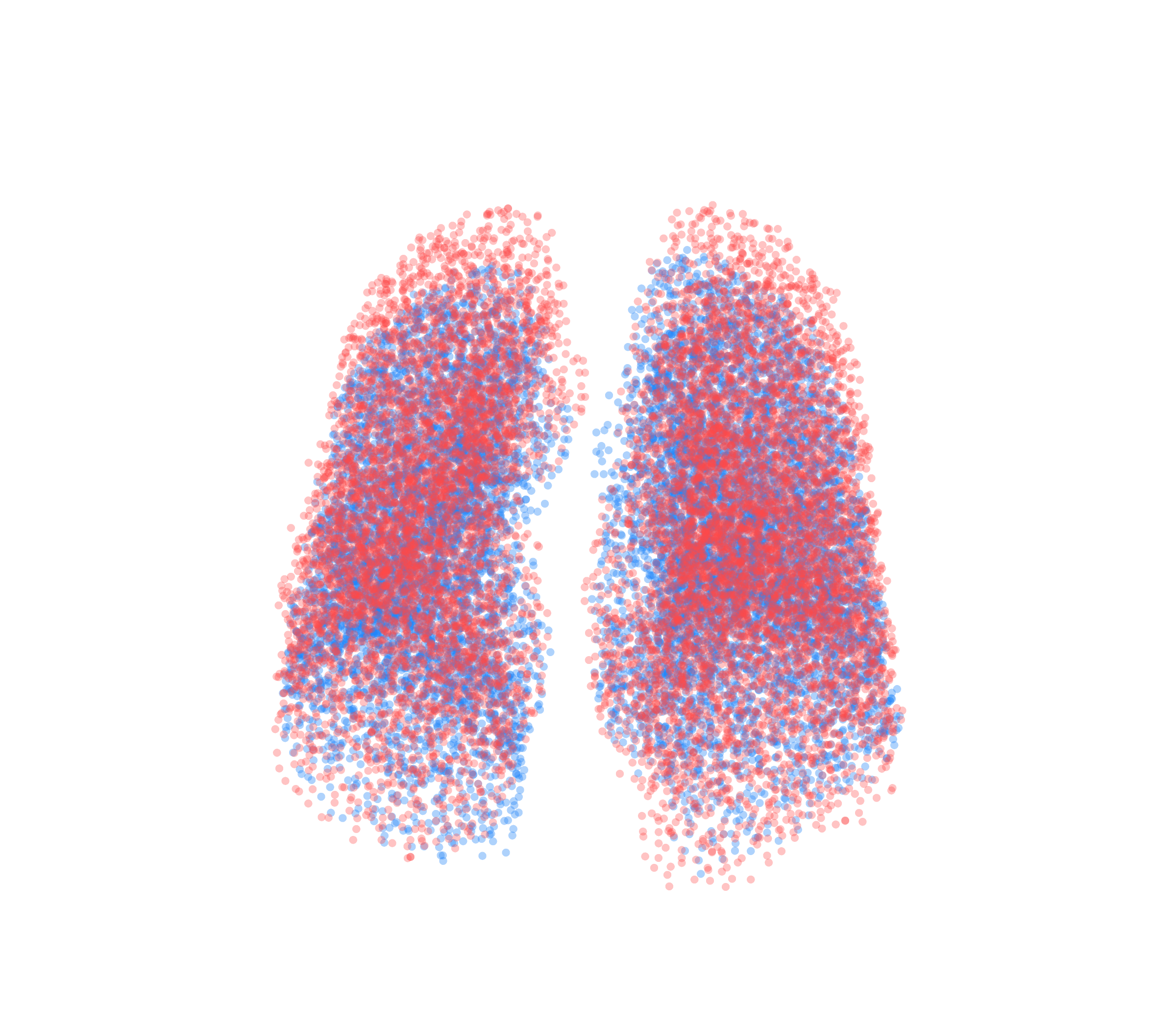 Point Cloud - Front View