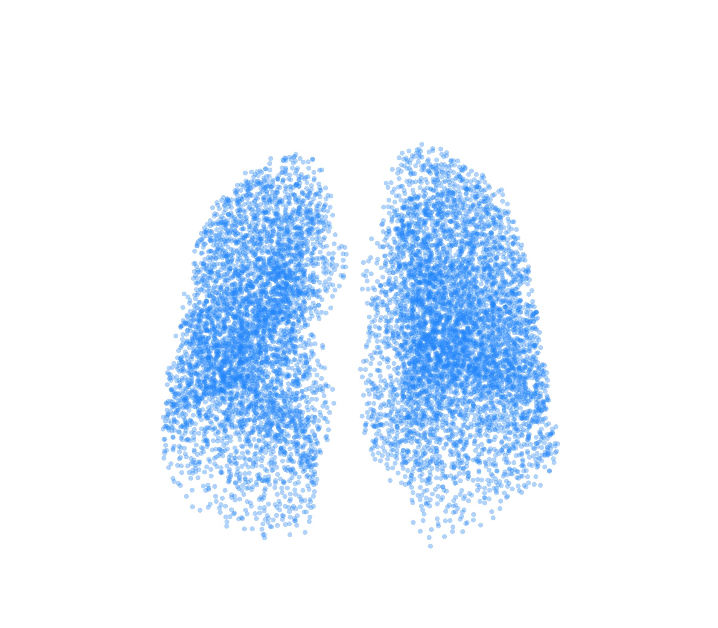 Point Cloud (Inspiration) - Front View