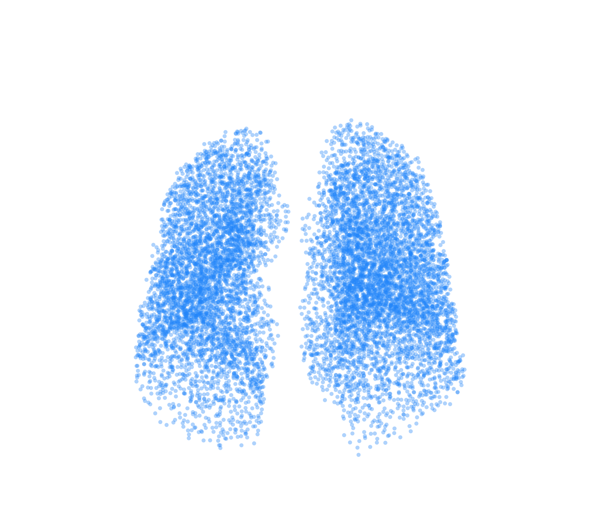 Point Cloud (Inspiration) - Front View