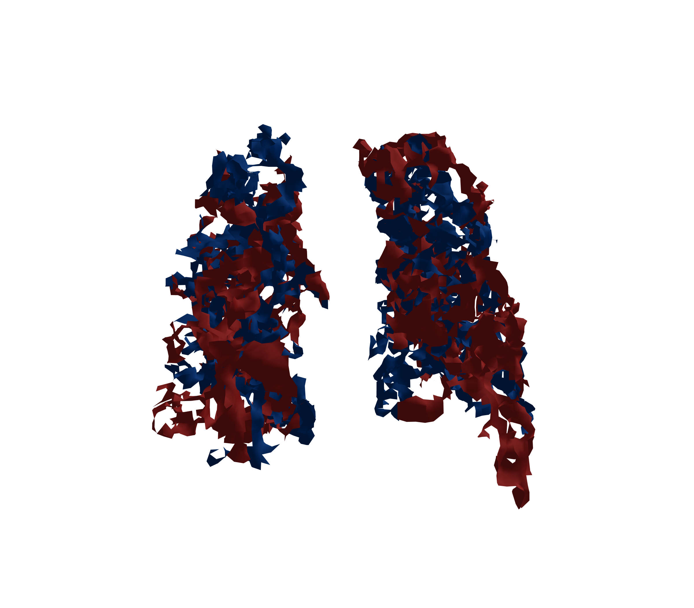 Surface Mesh - Back View