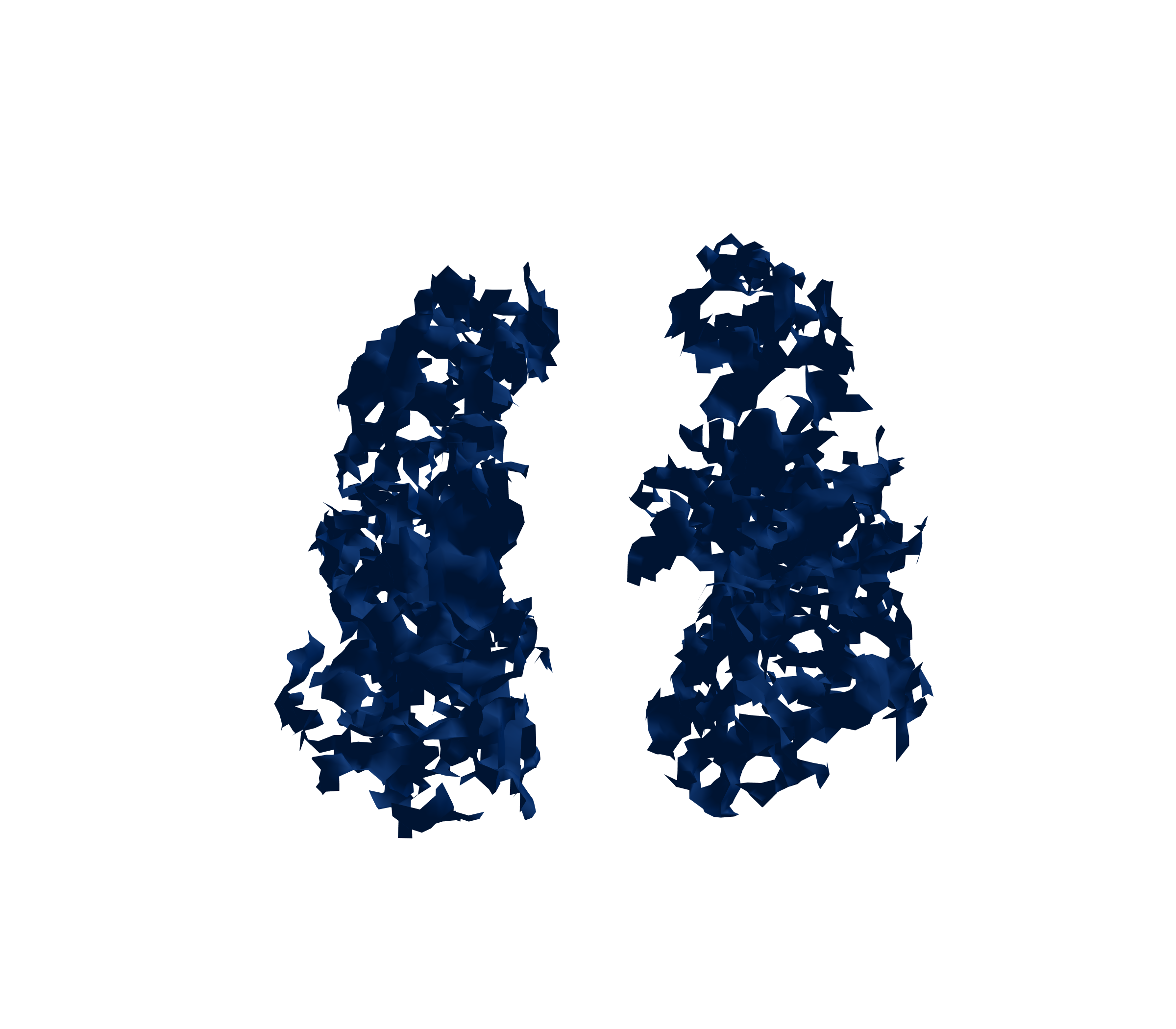 Surface Mesh (Inspiration) - Front View