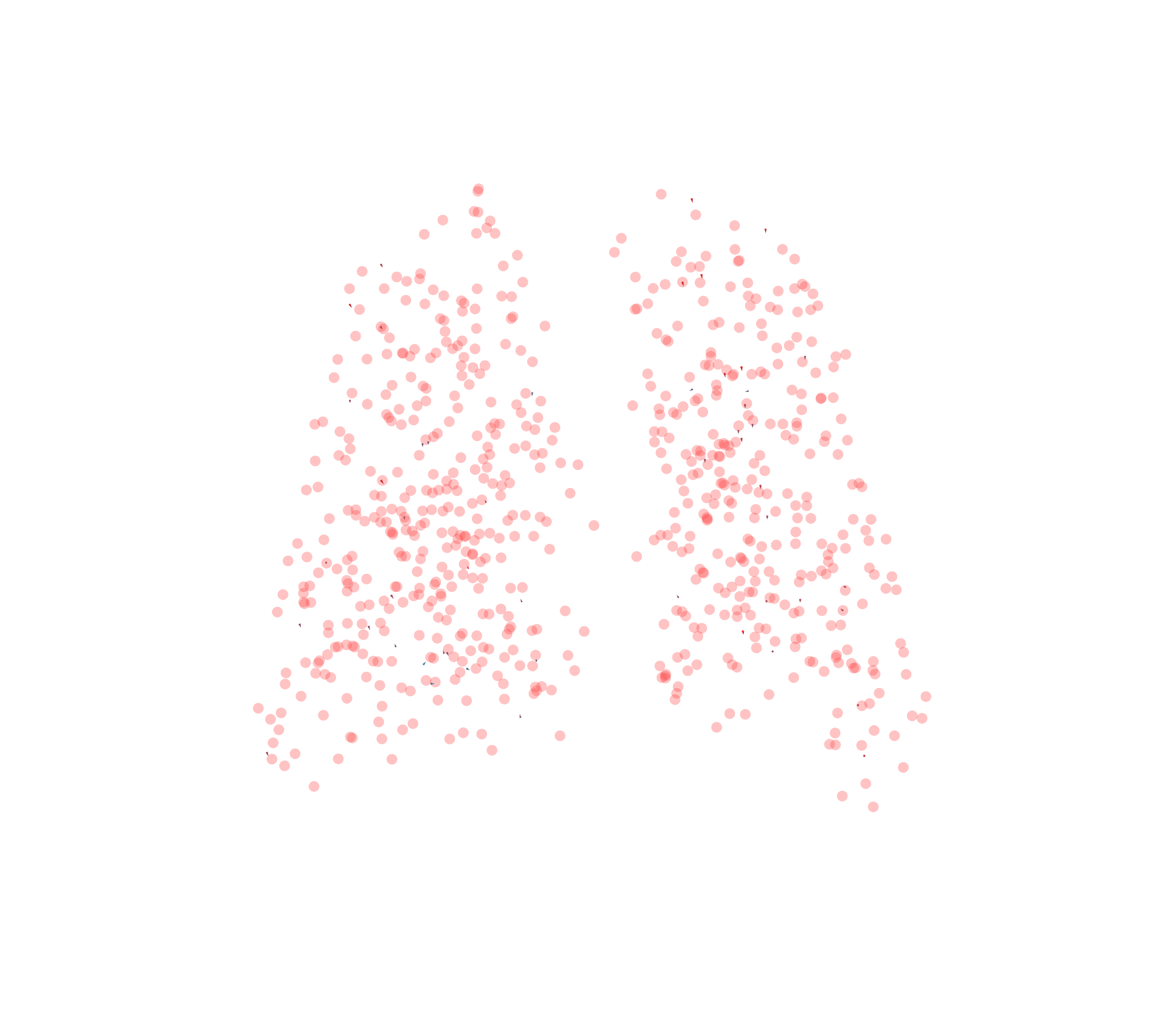 Displacement Vectors - Back View