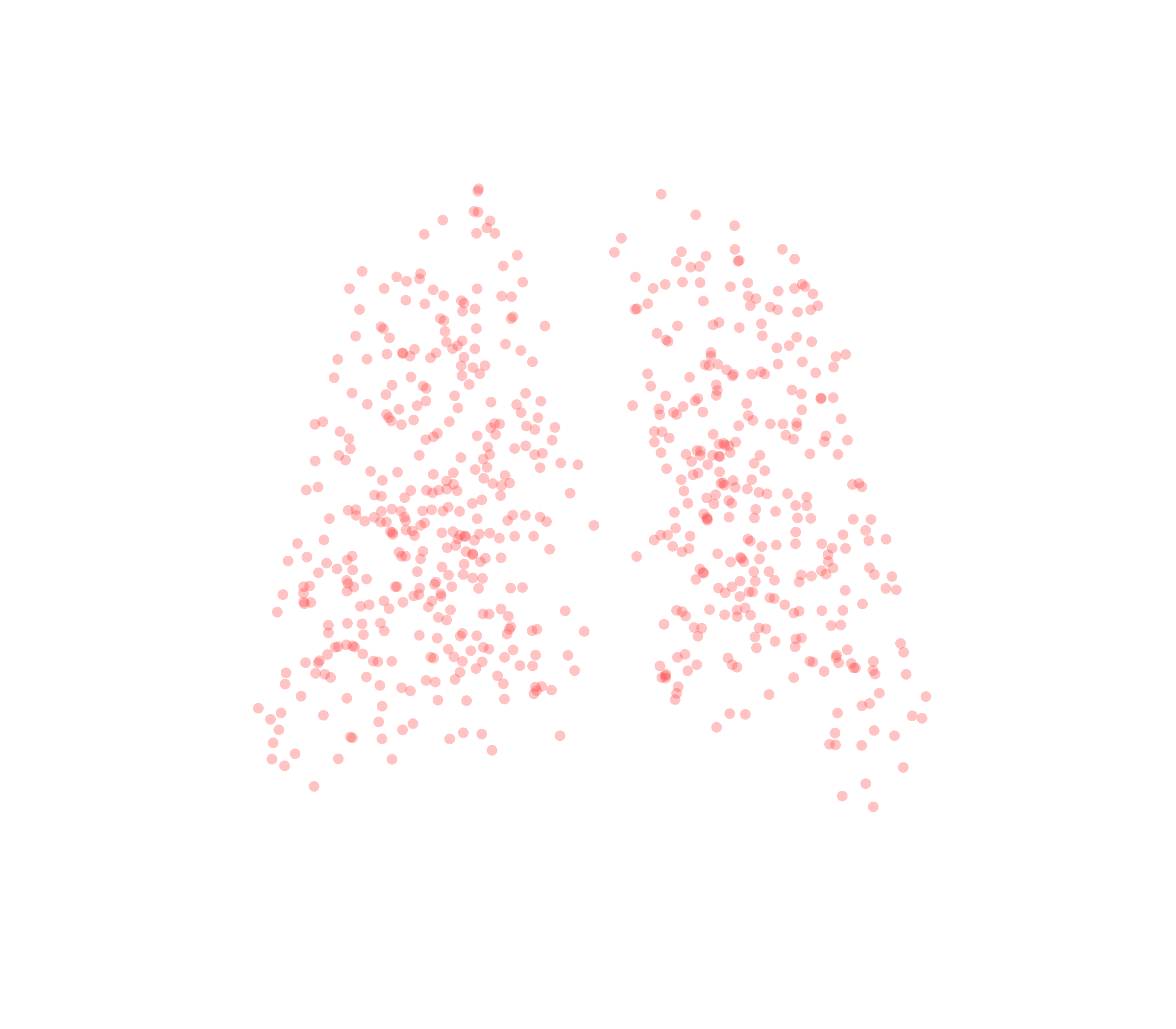 Displacement Vectors (Expiration) - Back View