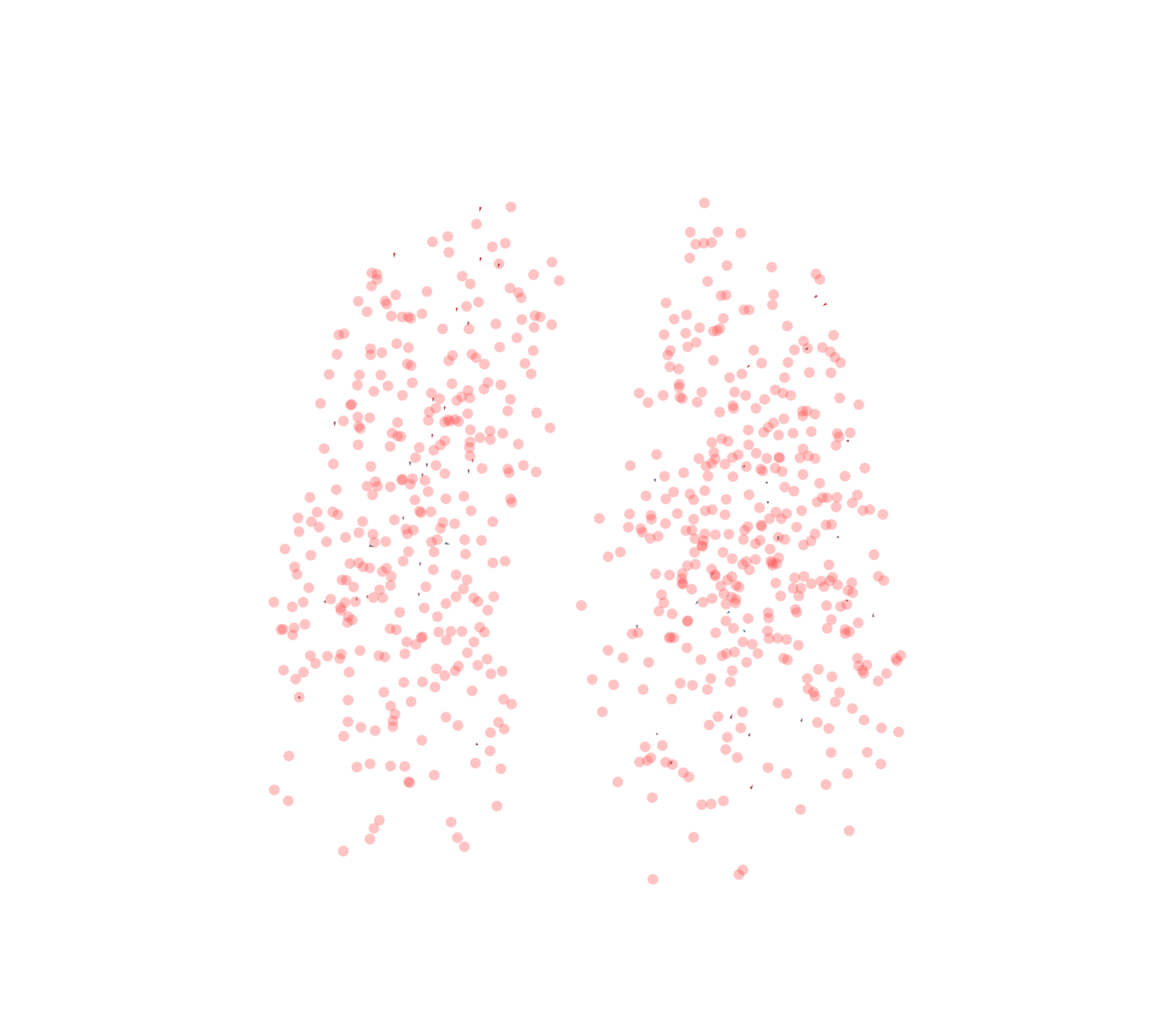 Displacement Vectors - Front View