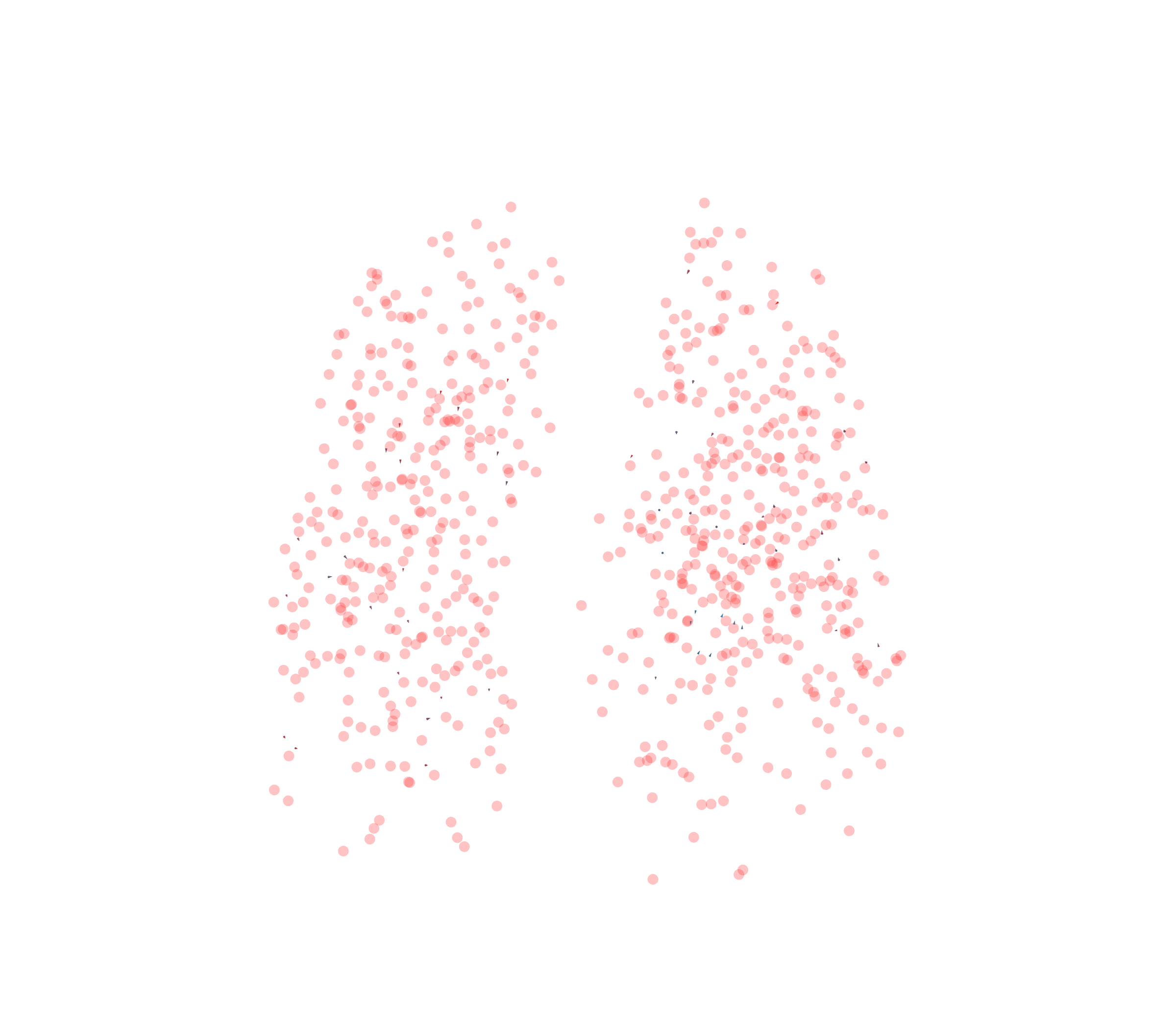 Displacement Vectors - Front View