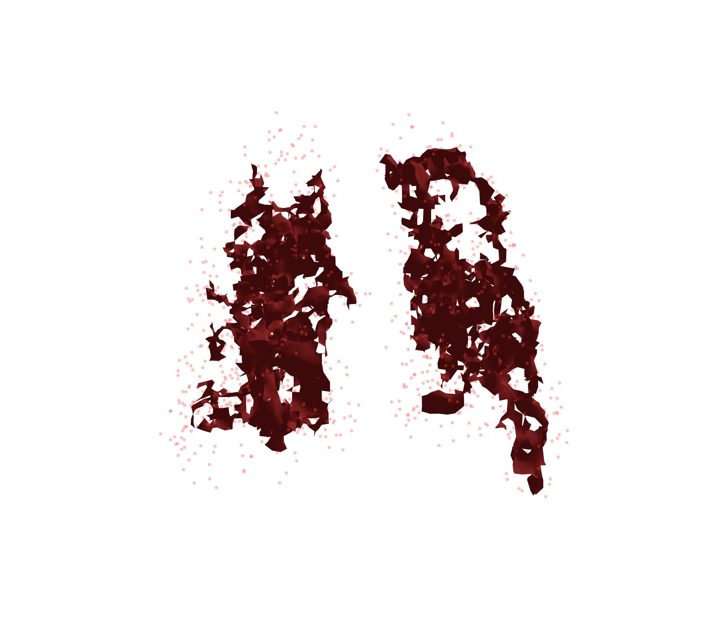 Combined Visualization (Expiration) - Back View