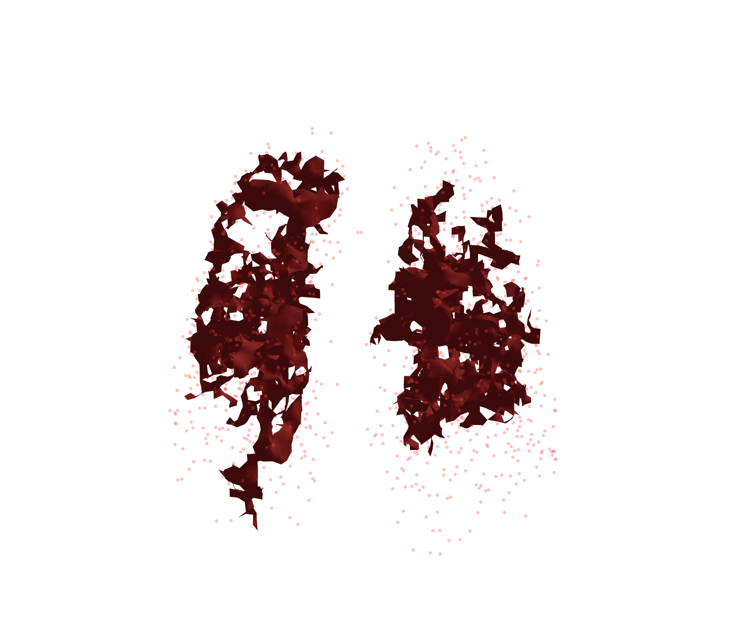 Combined Visualization (Expiration) - Front View