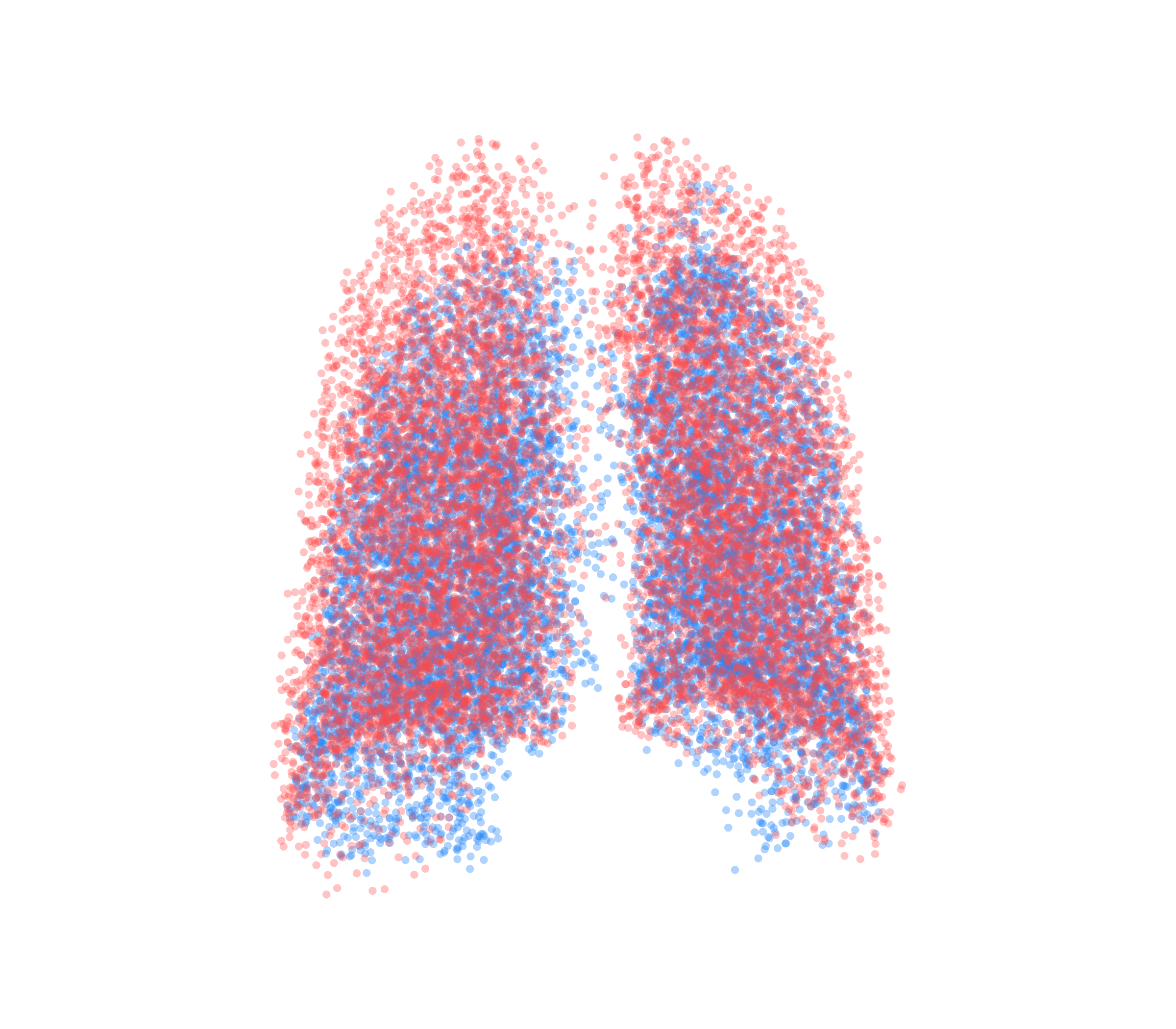 Point Cloud - Back View