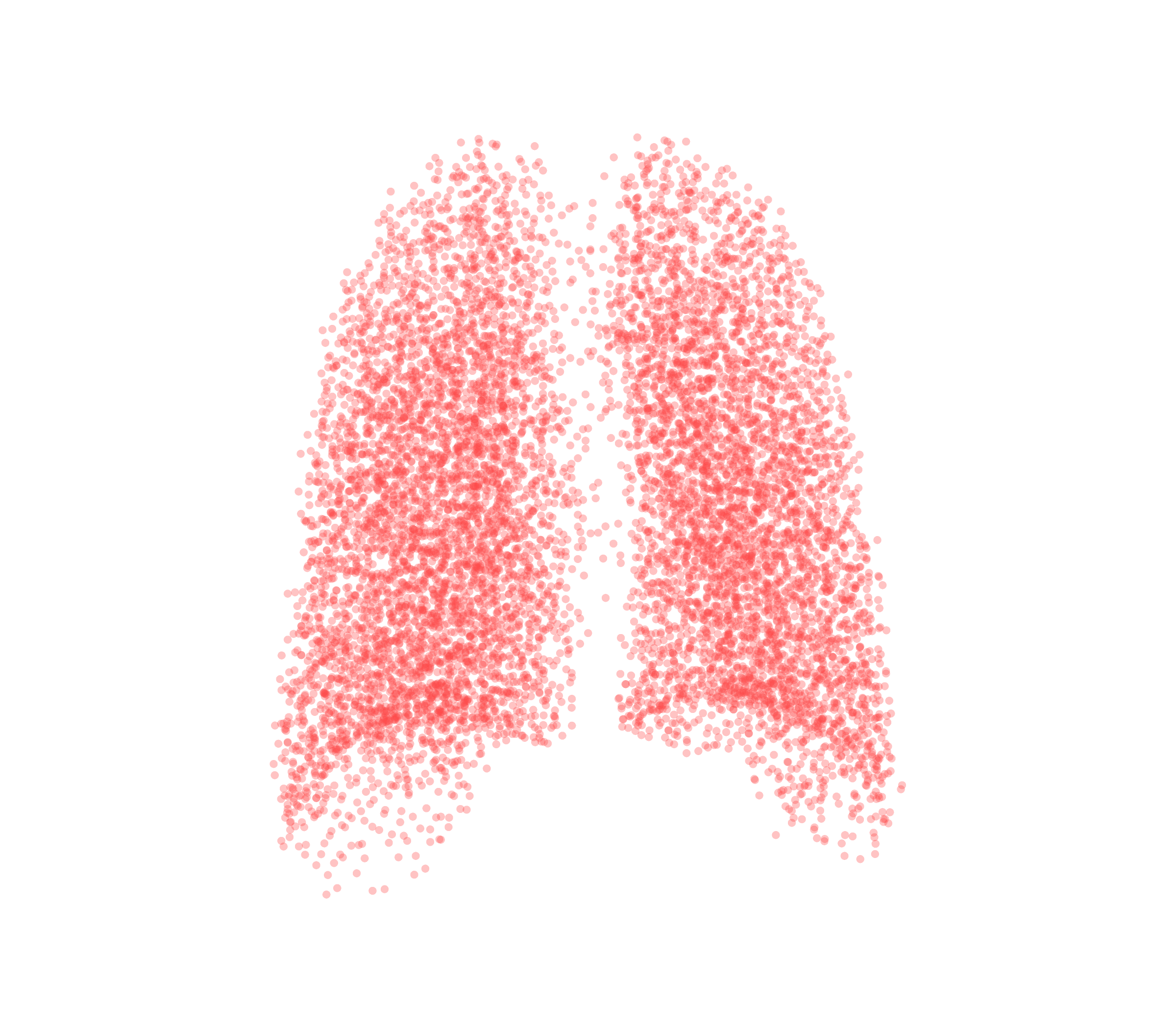 Point Cloud (Expiration) - Back View