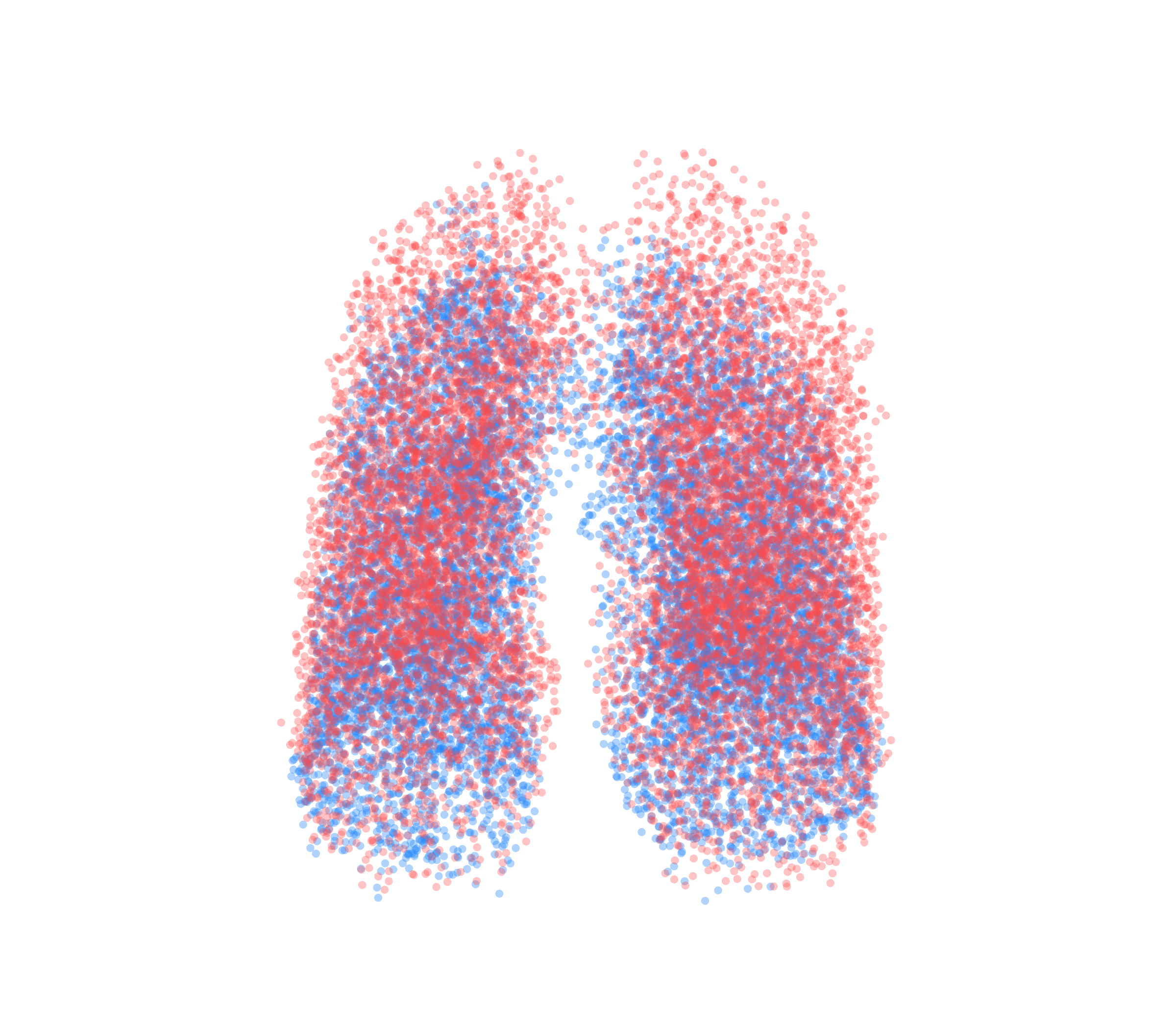Point Cloud - Front View