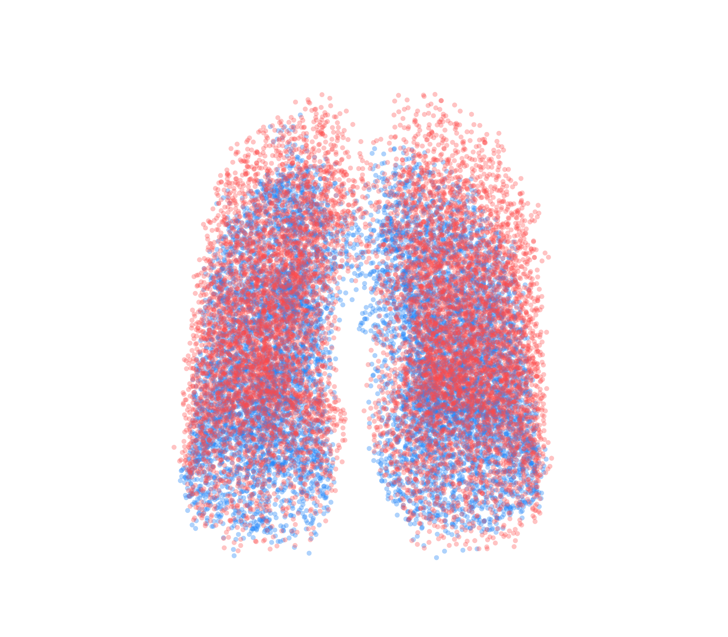 Point Cloud - Front View