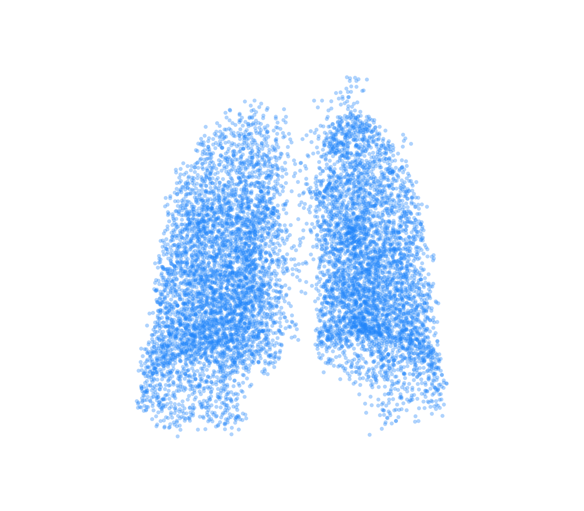 Point Cloud (Inspiration) - Back View