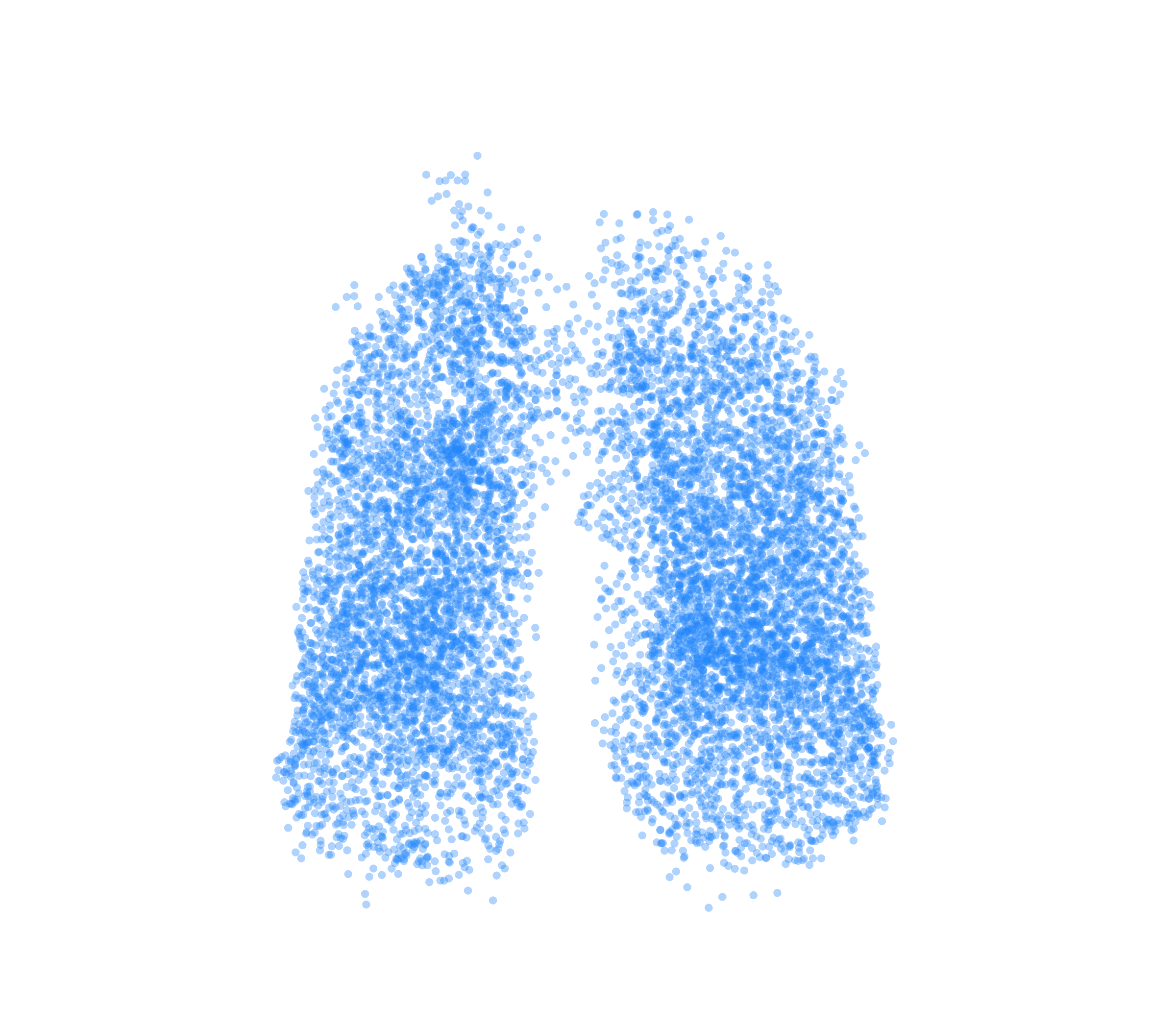 Point Cloud (Inspiration) - Front View