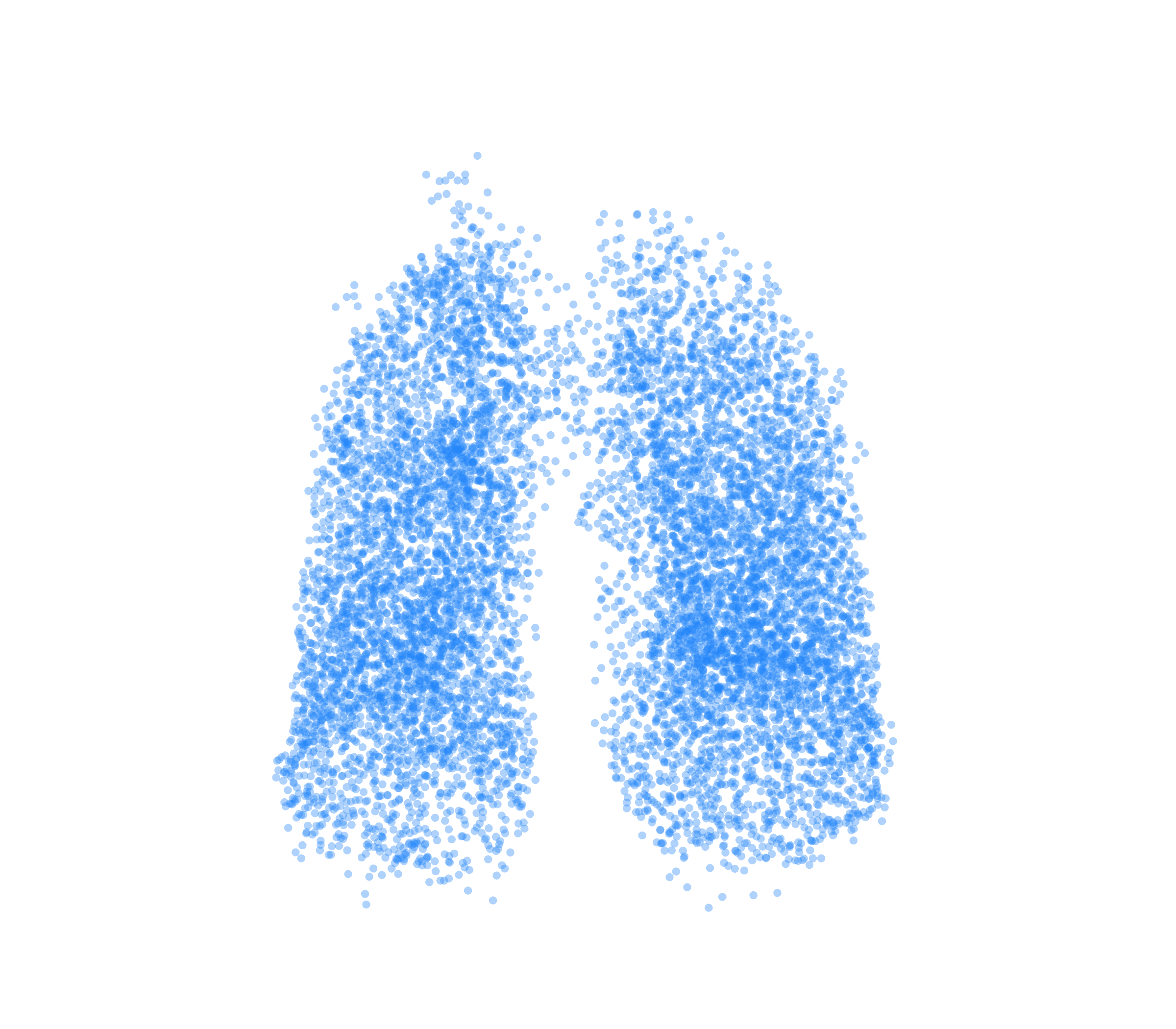 Point Cloud (Inspiration) - Front View