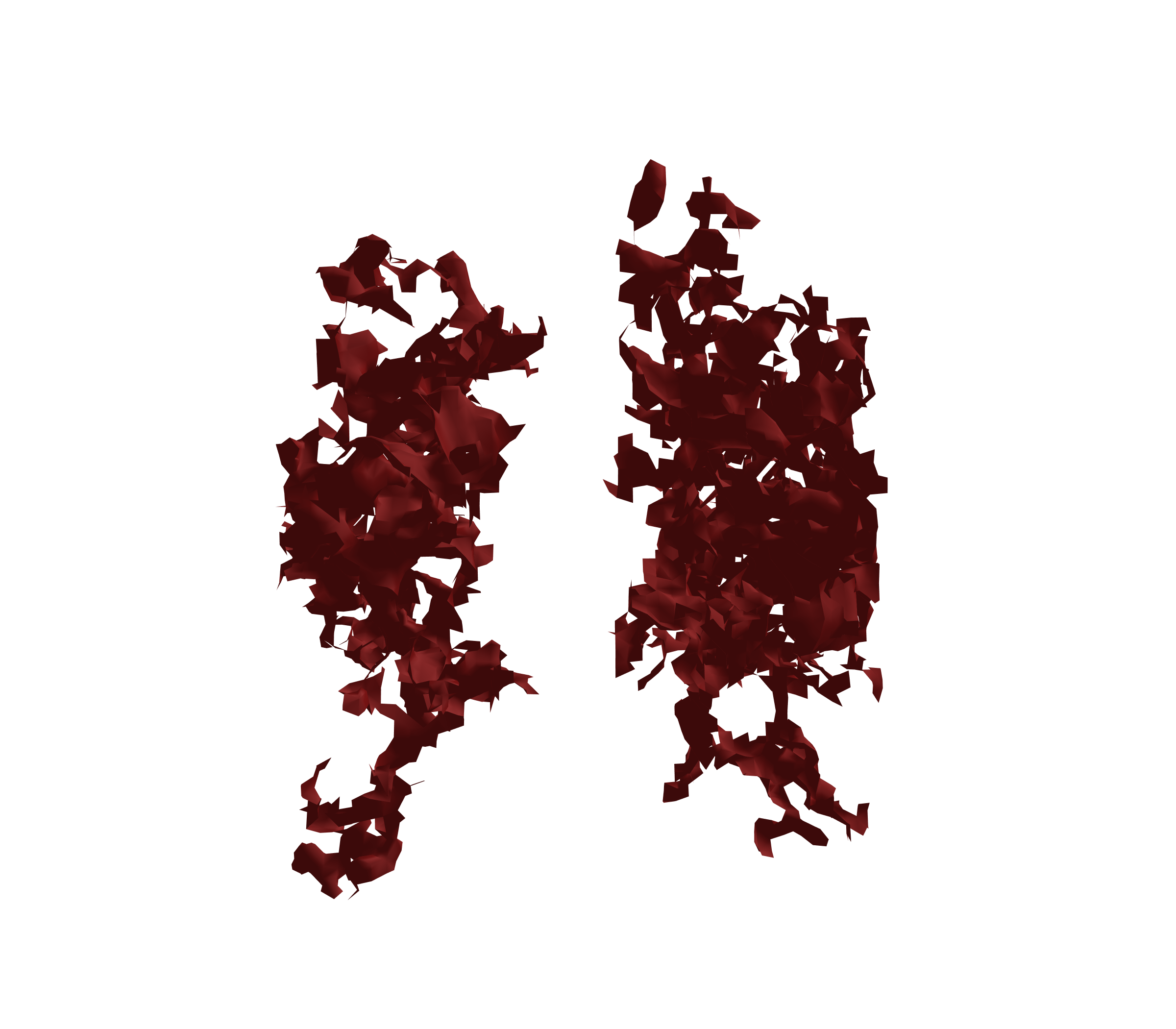 Surface Mesh (Expiration) - Front View