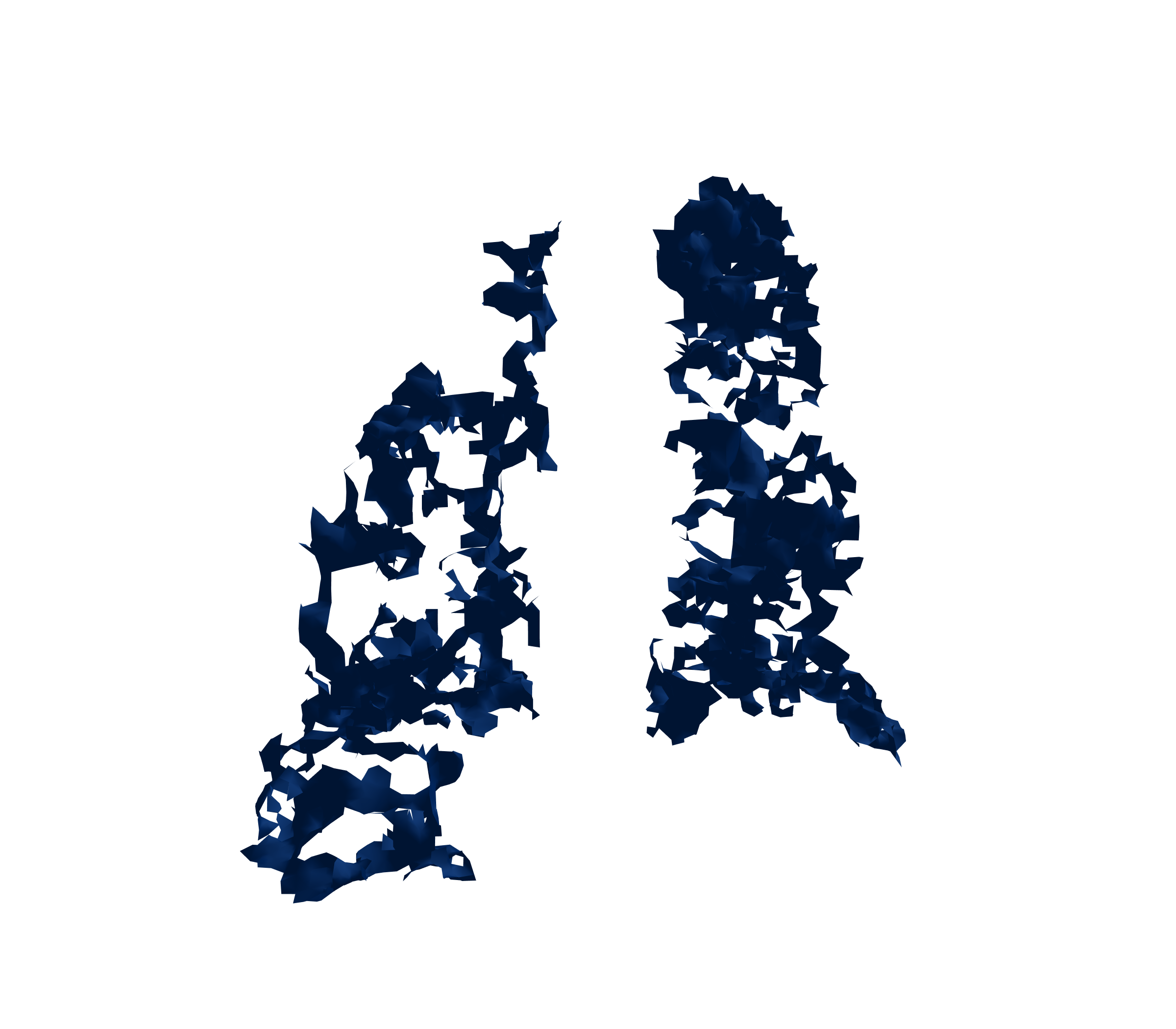 Surface Mesh (Inspiration) - Back View