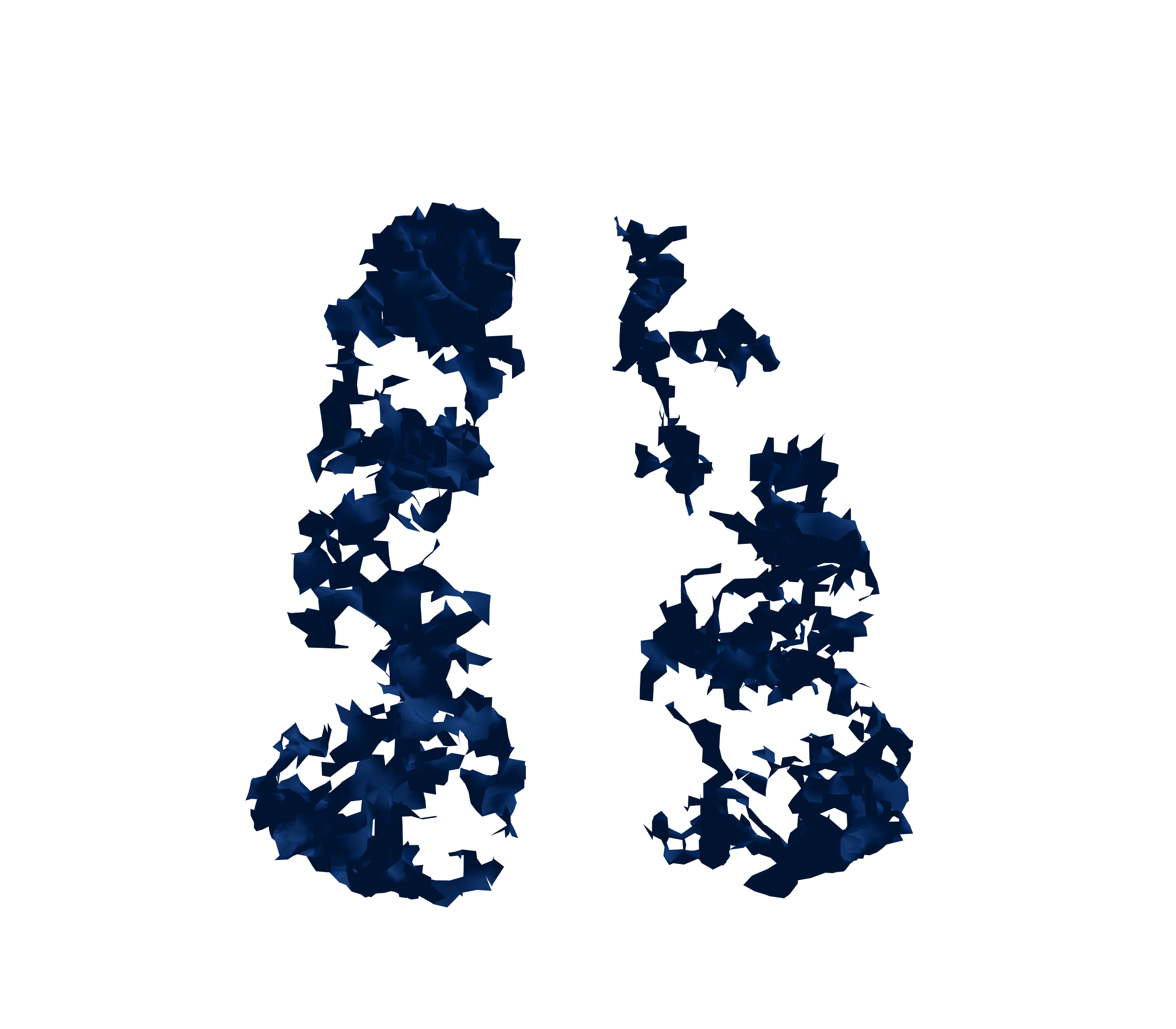 Surface Mesh (Inspiration) - Front View