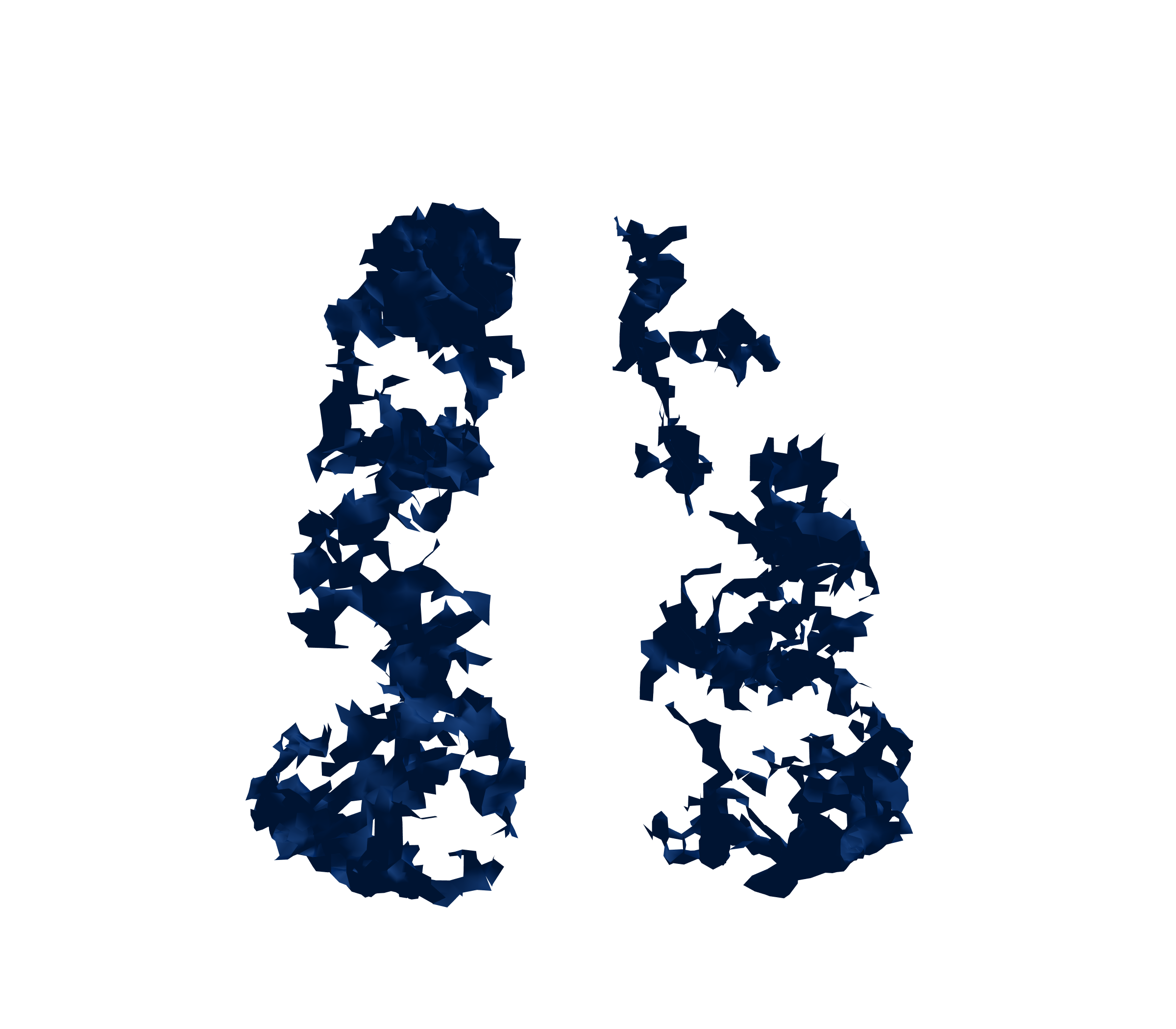 Surface Mesh (Inspiration) - Front View