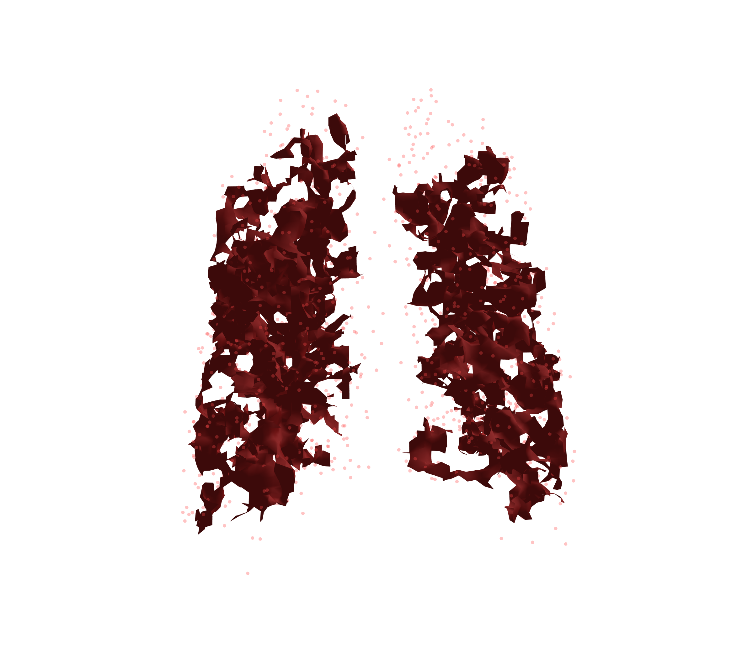 Combined Visualization (Expiration) - Back View