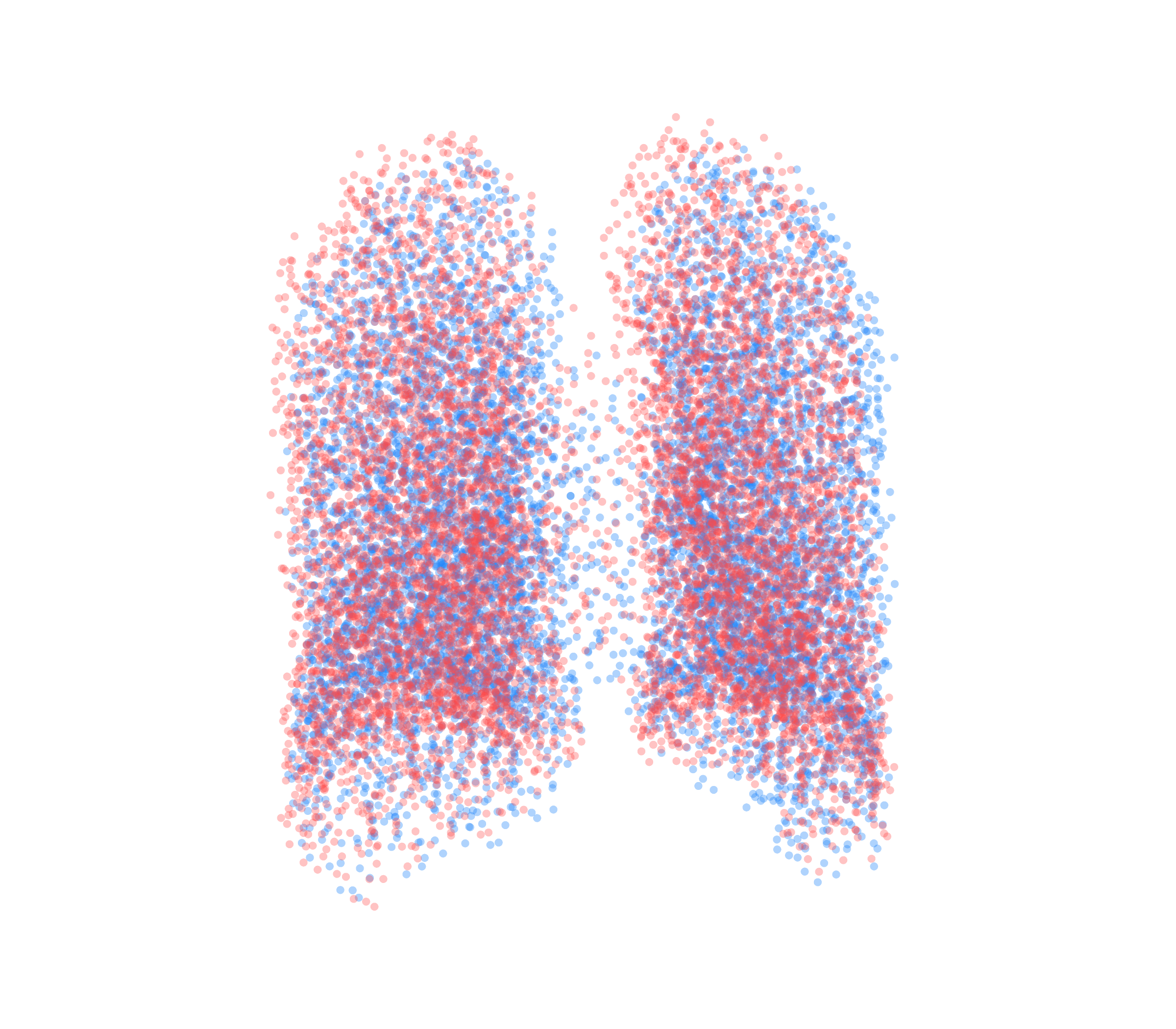 Point Cloud - Back View
