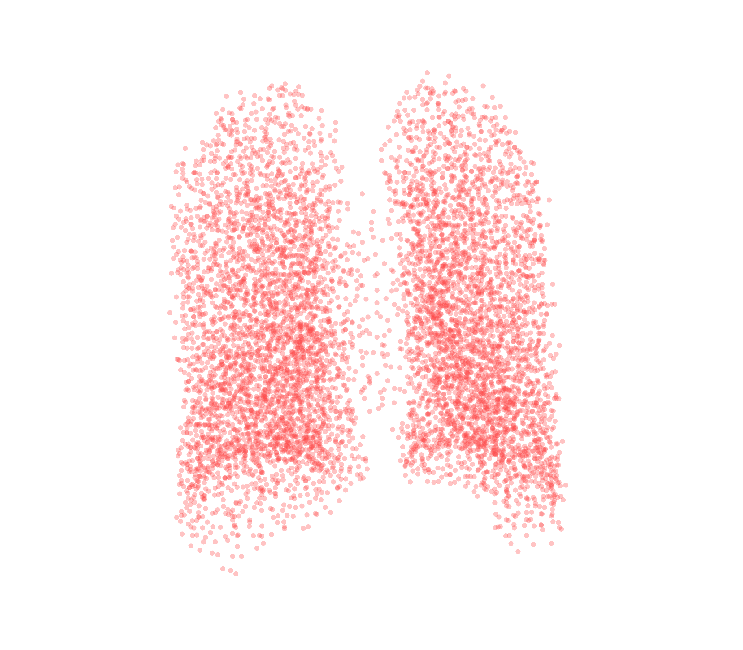 Point Cloud (Expiration) - Back View