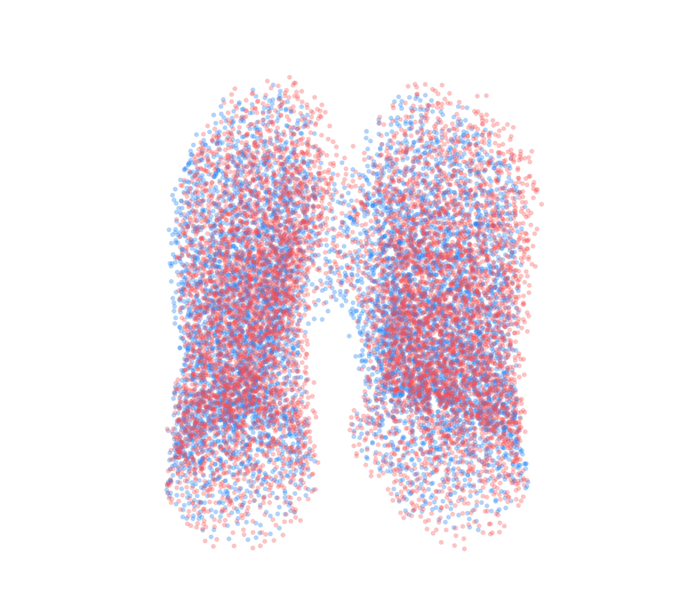 Point Cloud - Front View