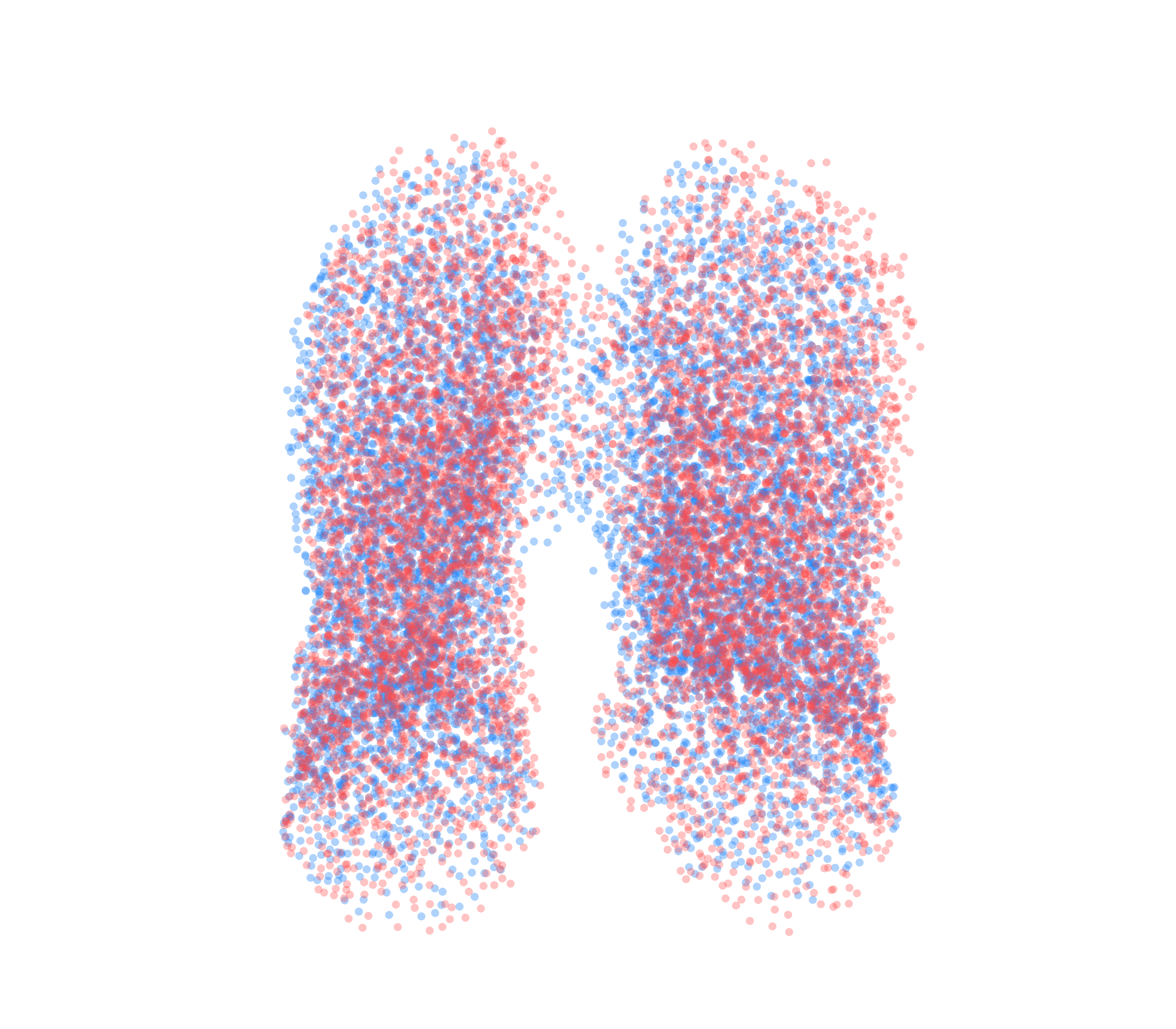 Point Cloud - Front View