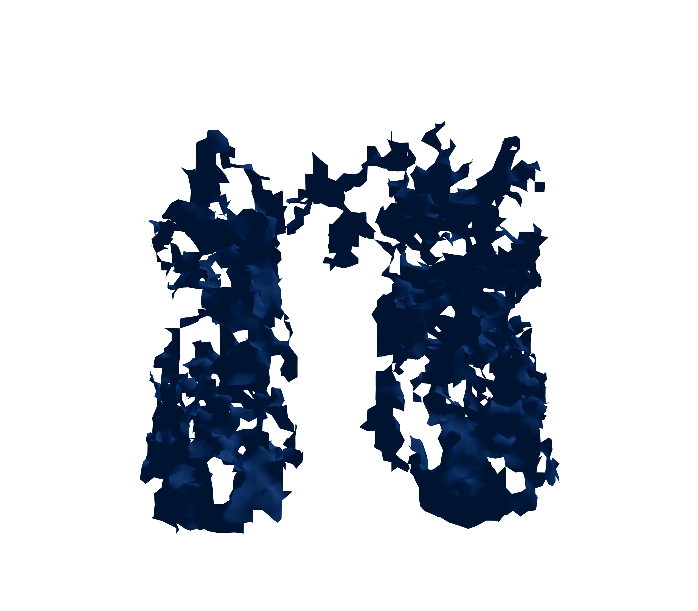 Surface Mesh (Inspiration) - Front View