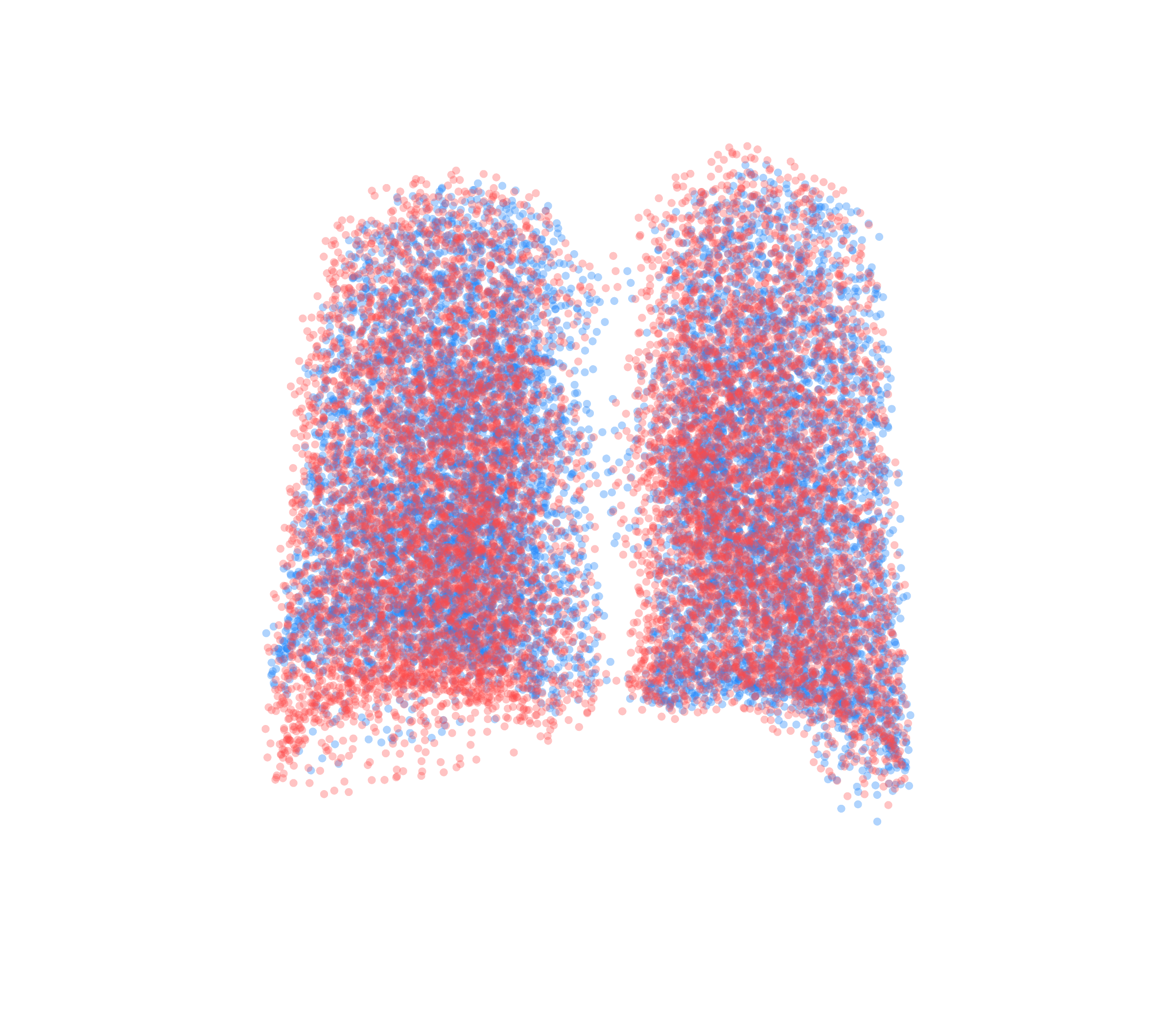 Point Cloud - Back View