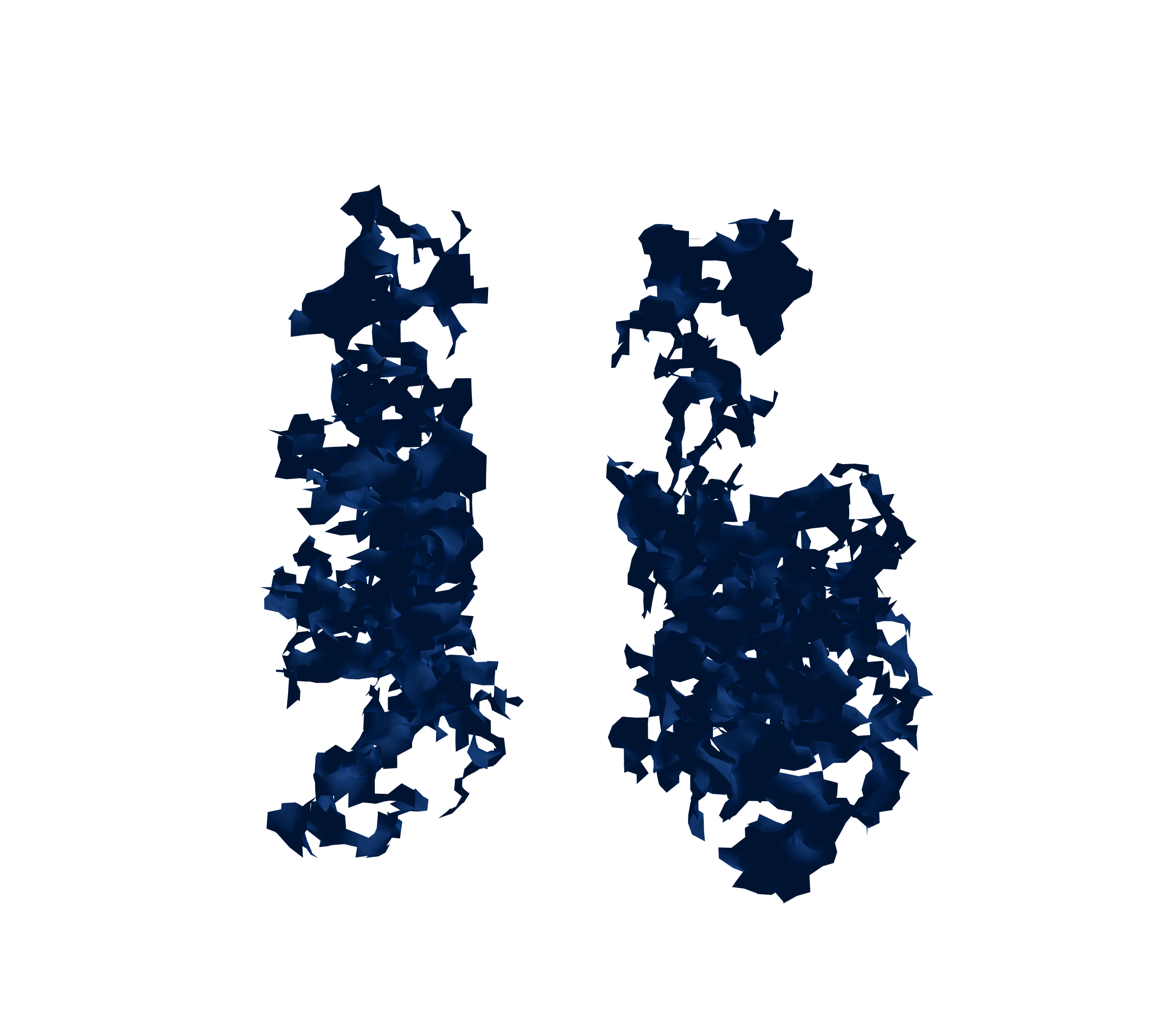 Surface Mesh (Inspiration) - Front View