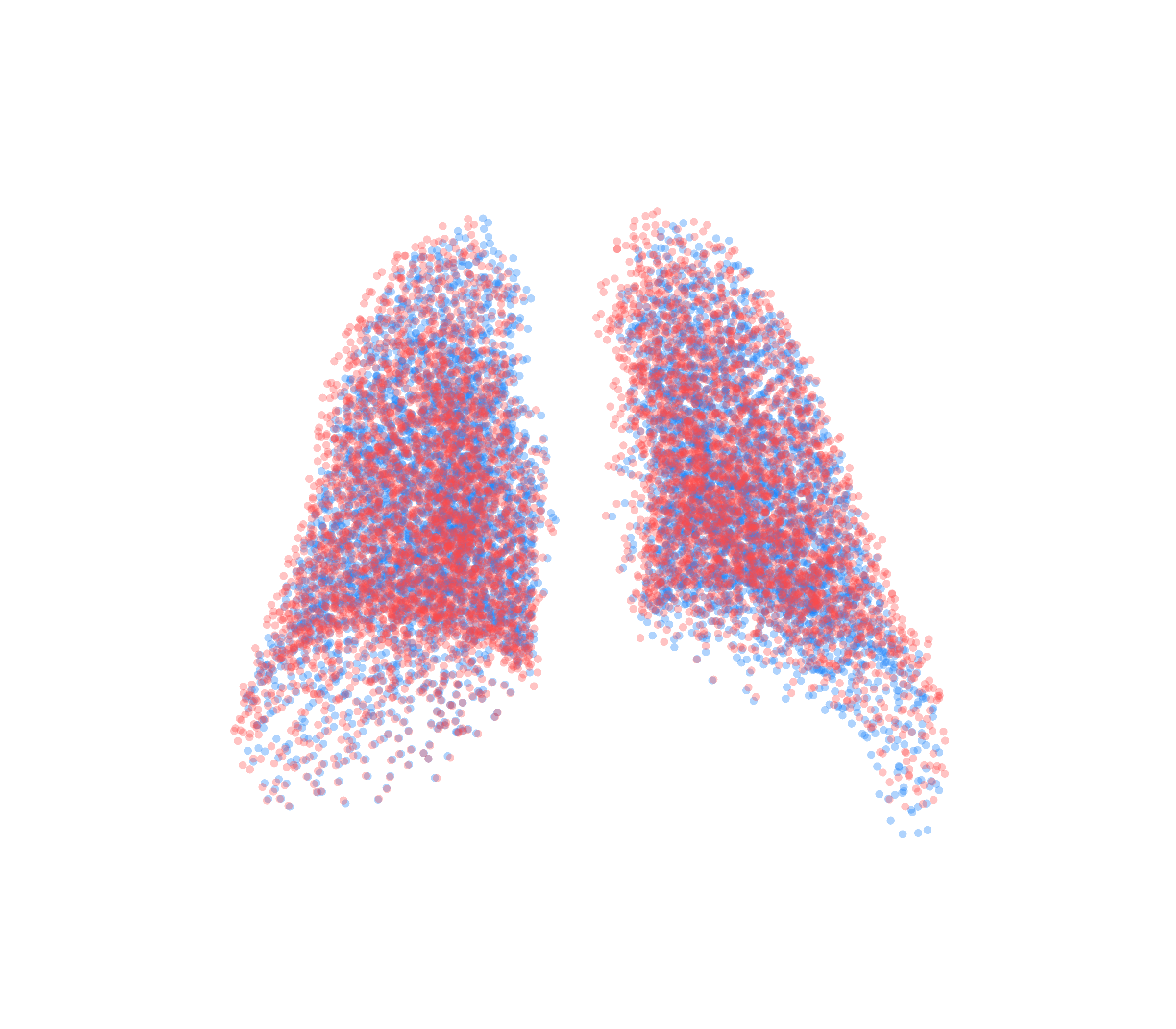 Point Cloud - Back View