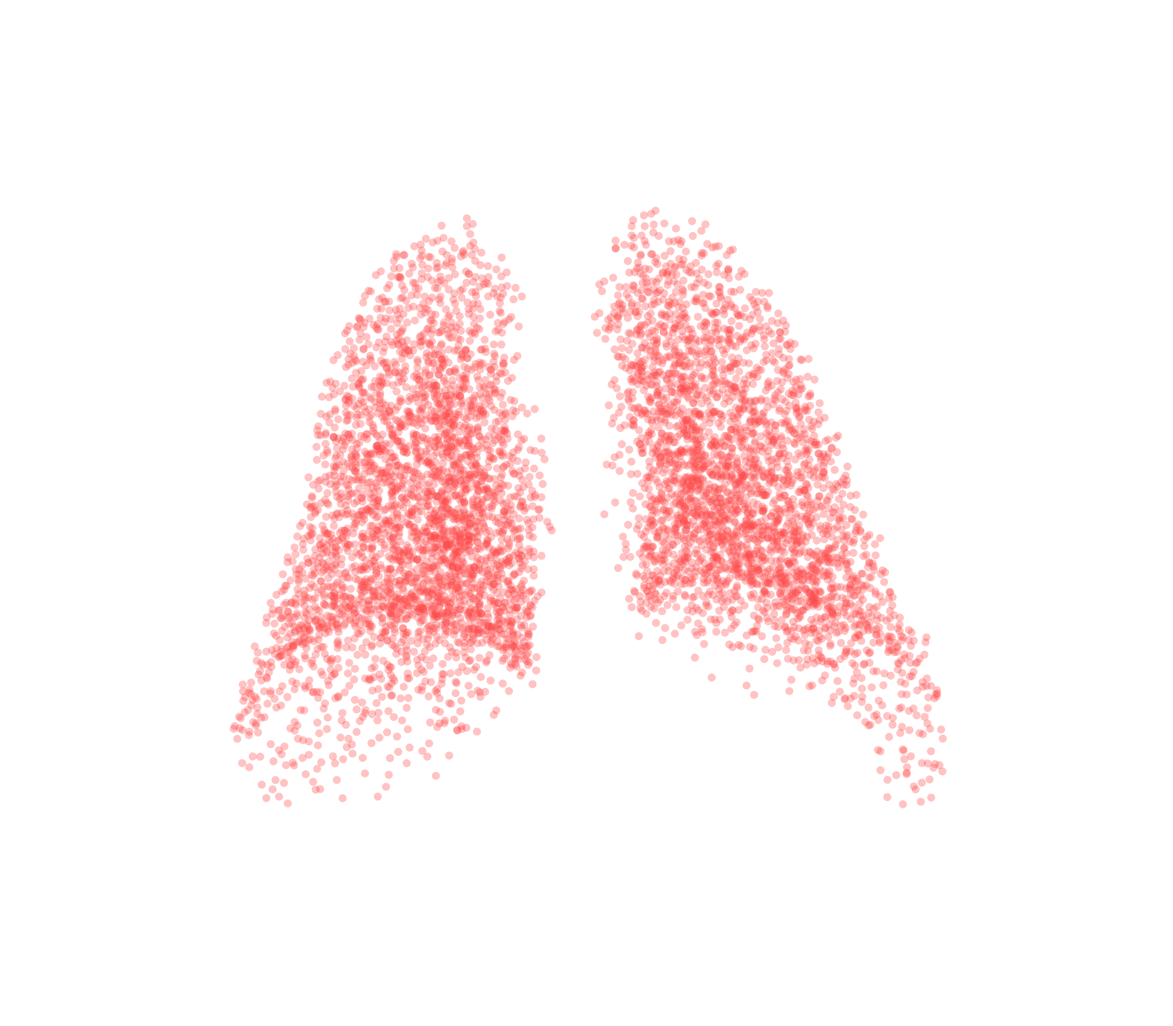 Point Cloud (Expiration) - Back View