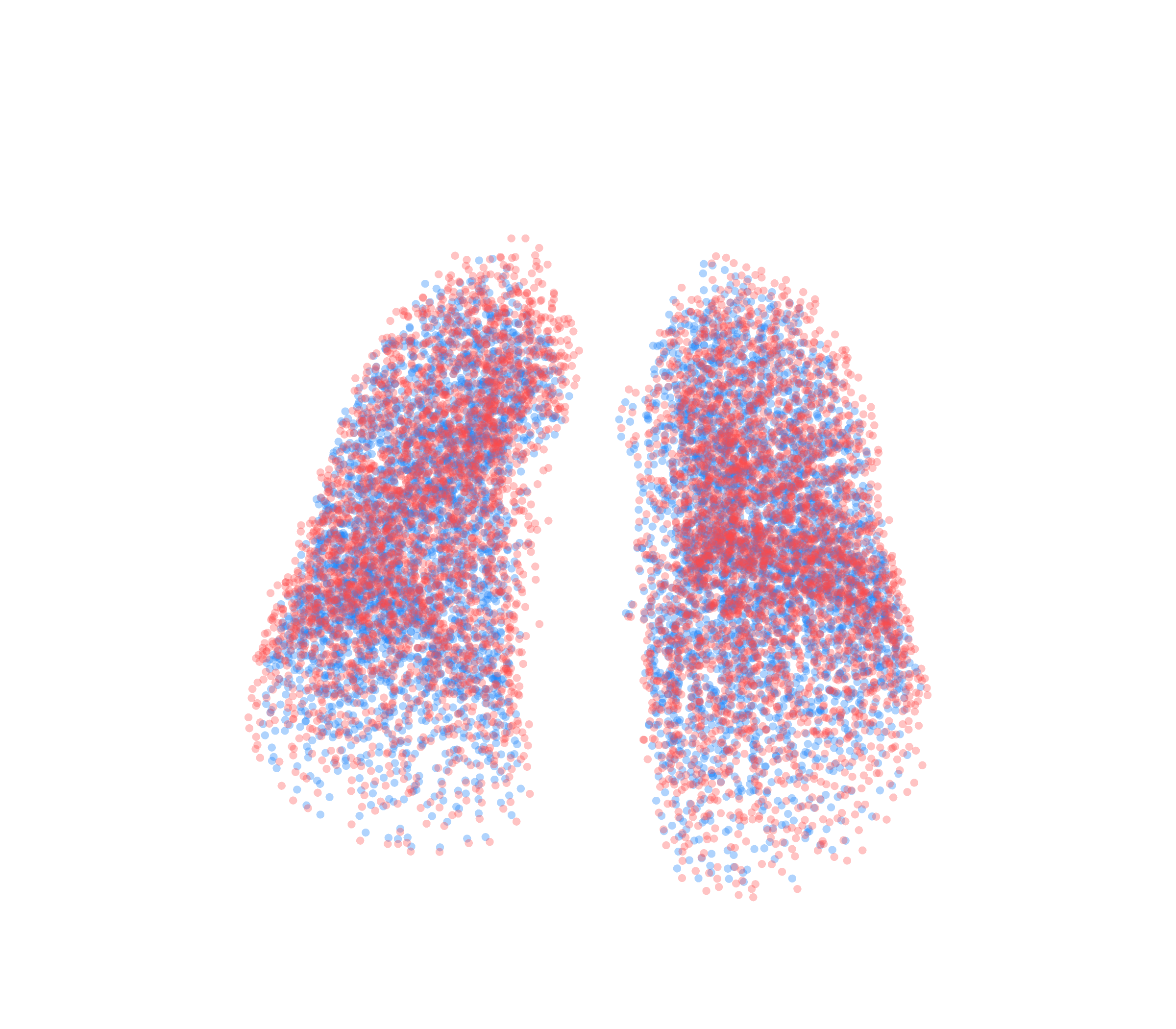 Point Cloud - Front View