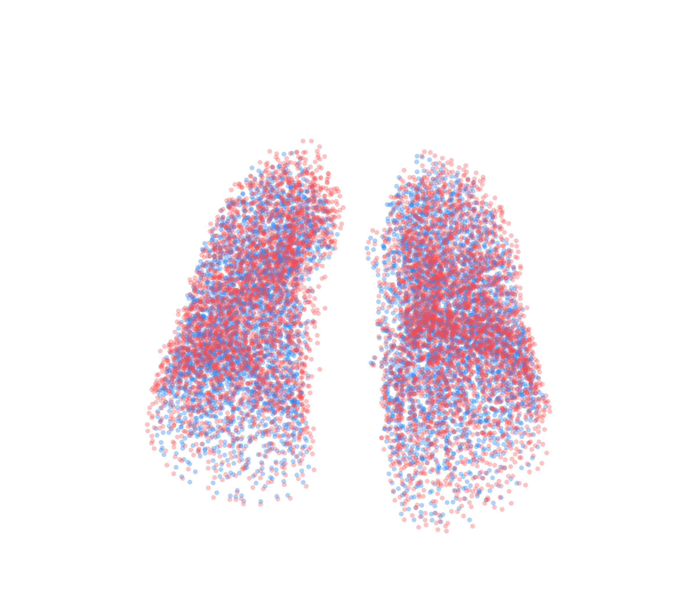 Point Cloud - Front View