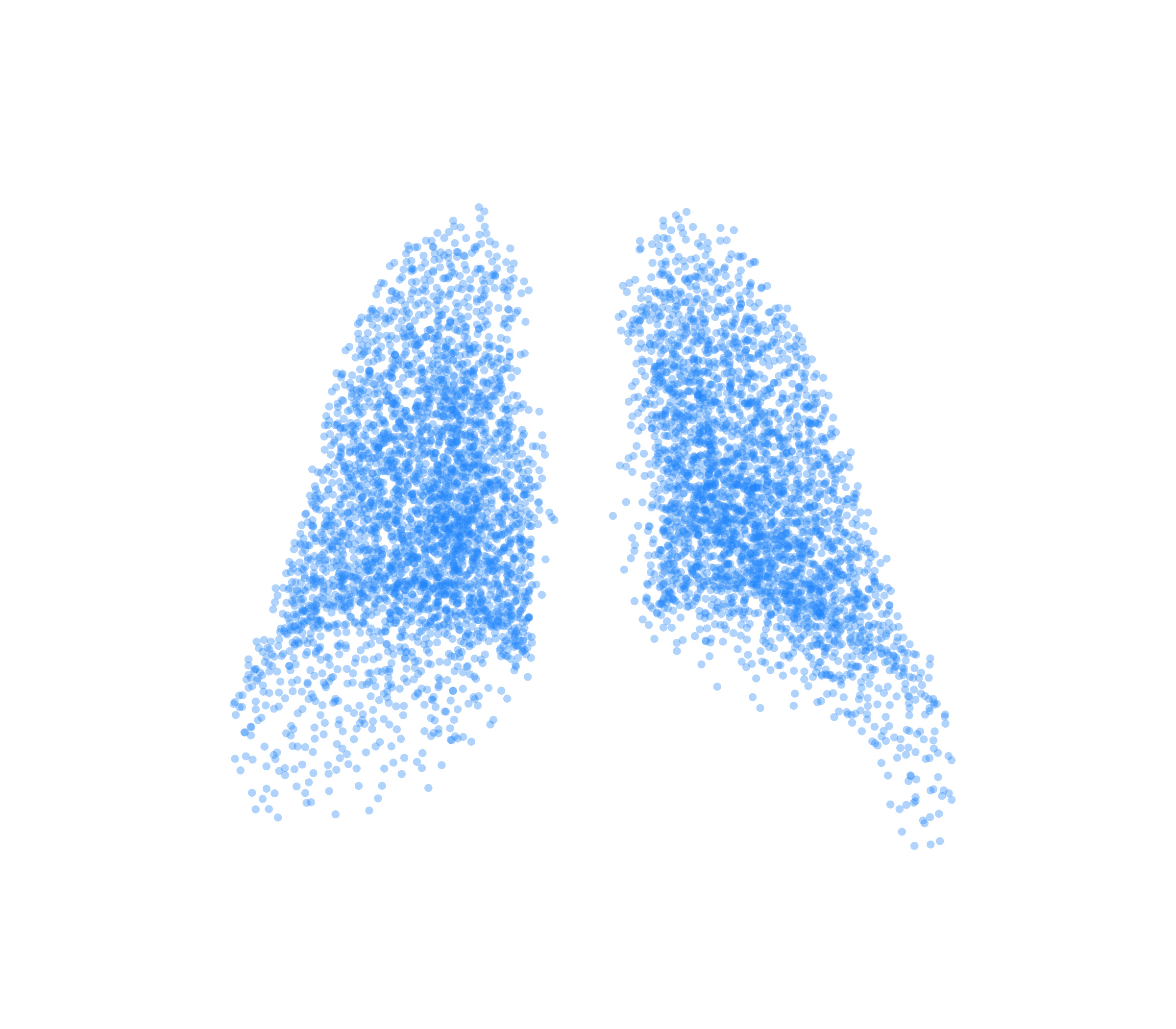 Point Cloud (Inspiration) - Back View
