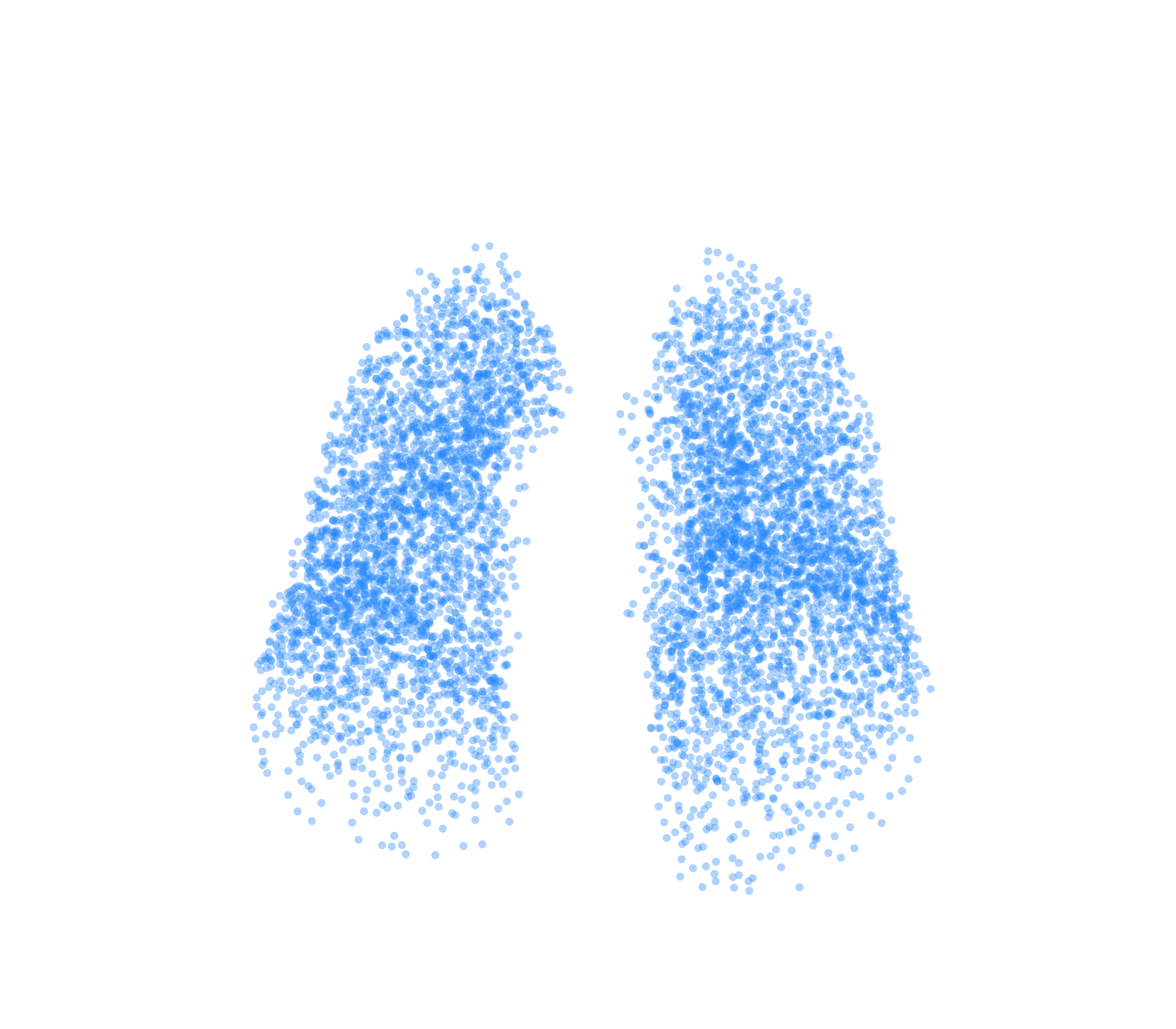 Point Cloud (Inspiration) - Front View