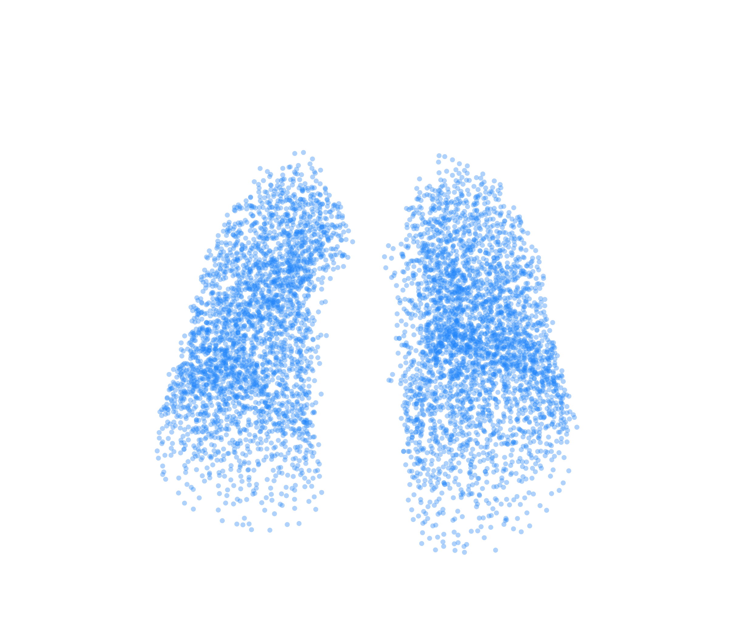 Point Cloud (Inspiration) - Front View