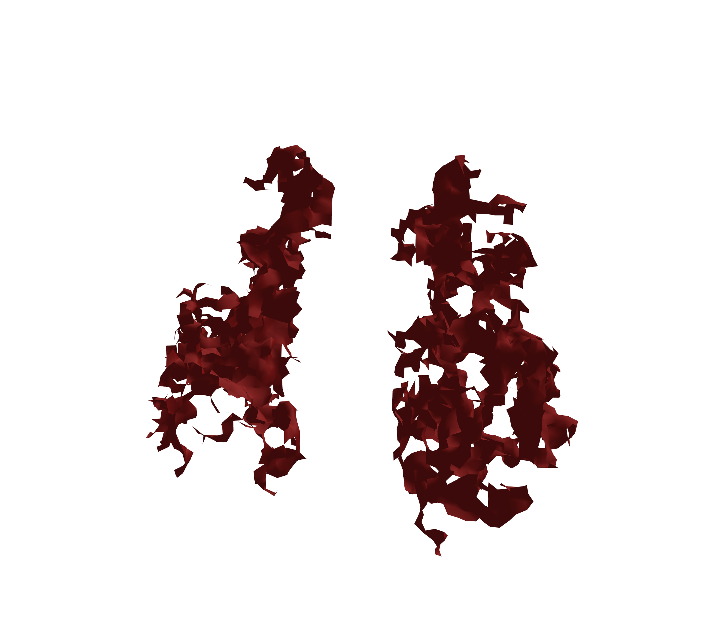 Surface Mesh (Expiration) - Front View