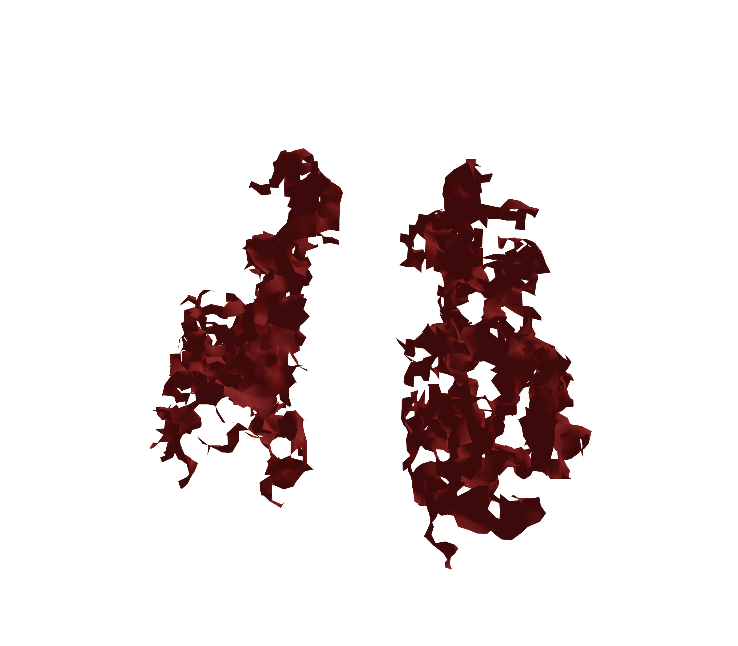 Surface Mesh (Expiration) - Front View